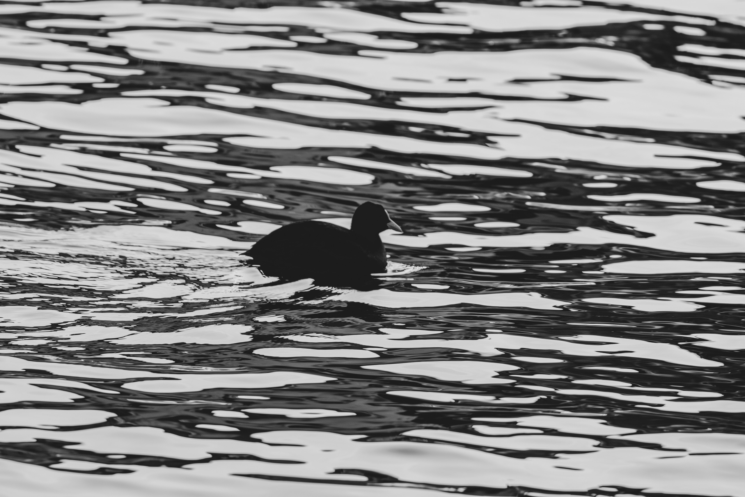 Rootsi reis. Nebula 25 — Fotod teie hingele