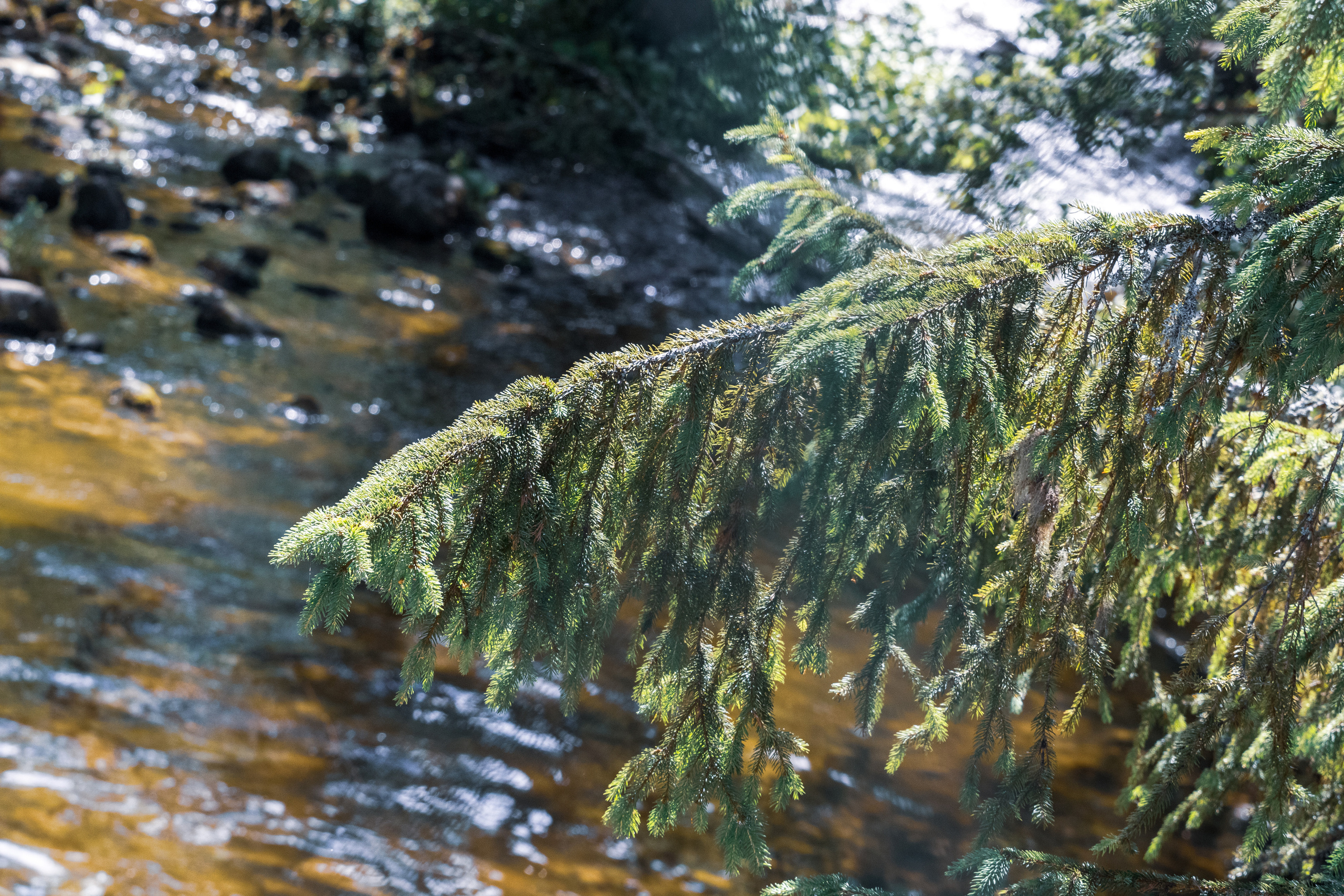 Peipsi järv (Taevaskoja). Nebula 25 — Fotod teie hingele