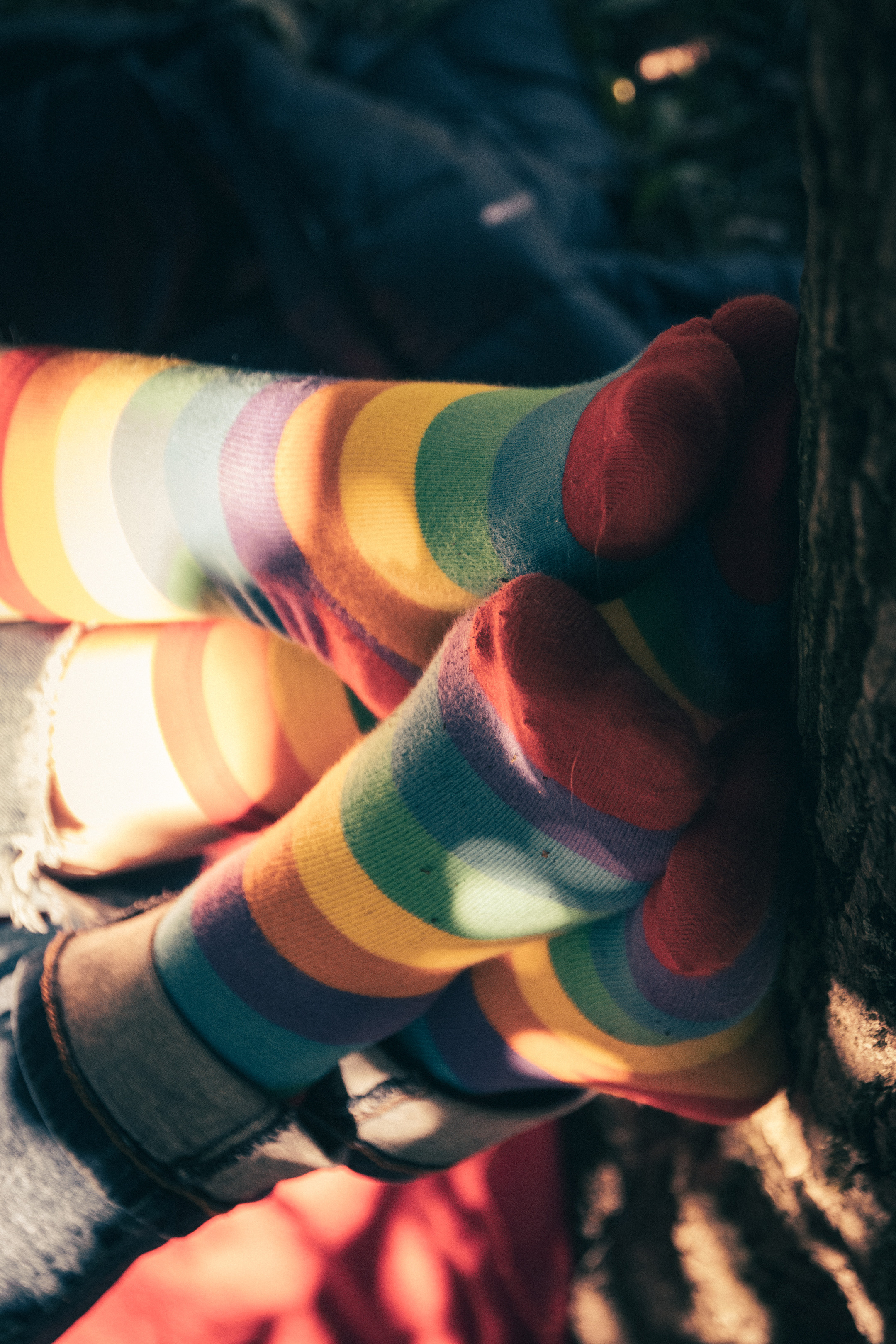 Romantika (Nika ja Pavel). Nebula 25 — Fotod teie hingele