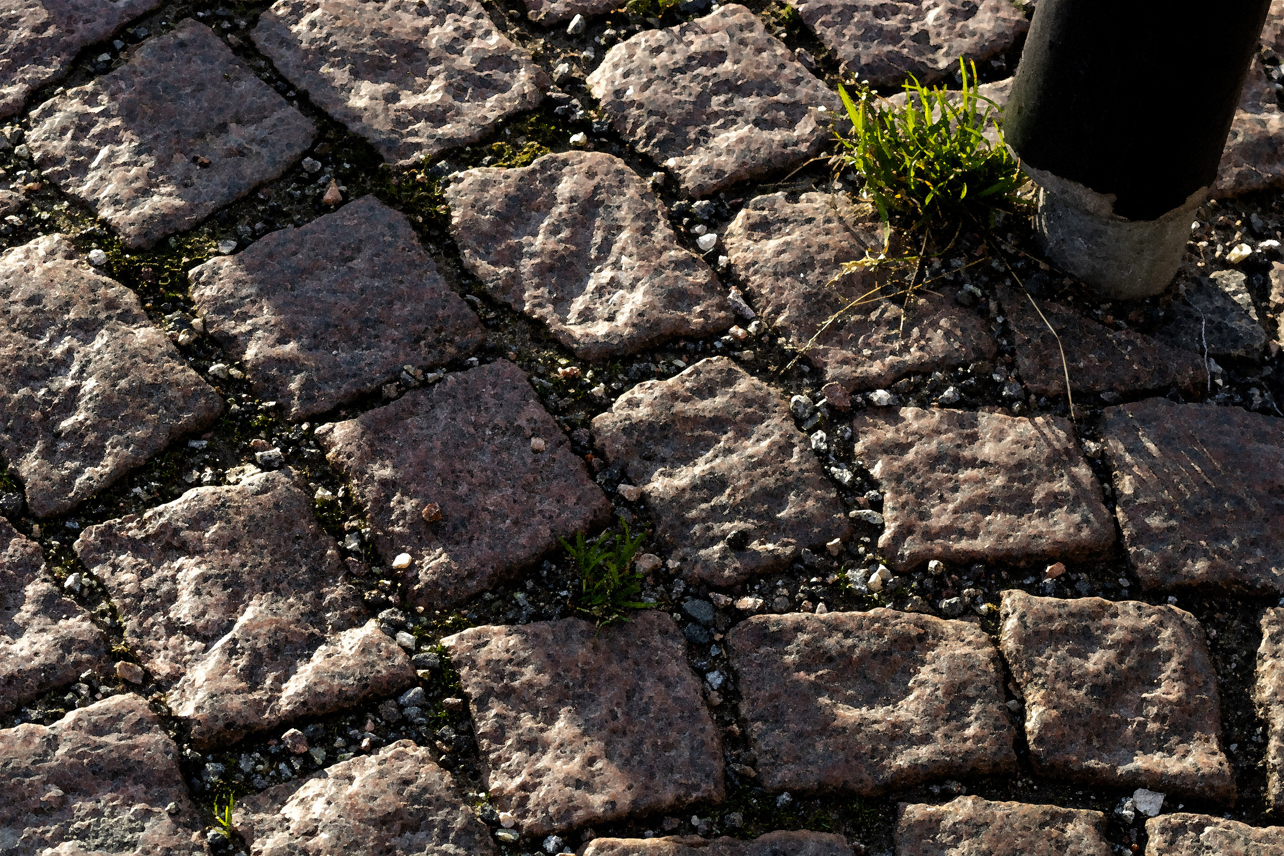 Rootsi reis. Nebula 25 — Fotod teie hingele