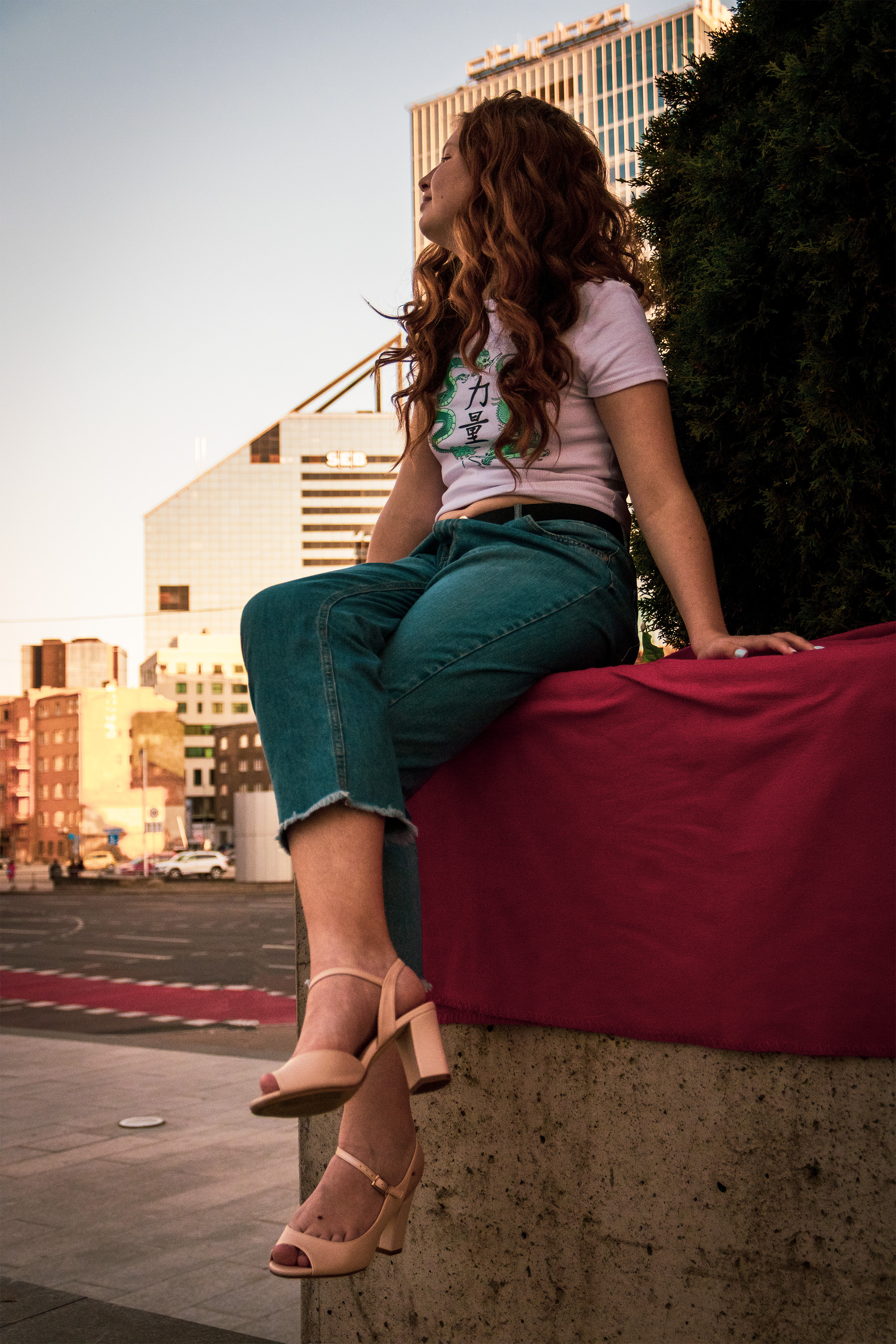 Päevalilled (Nika A.). Nebula 25 — Fotod teie hingele