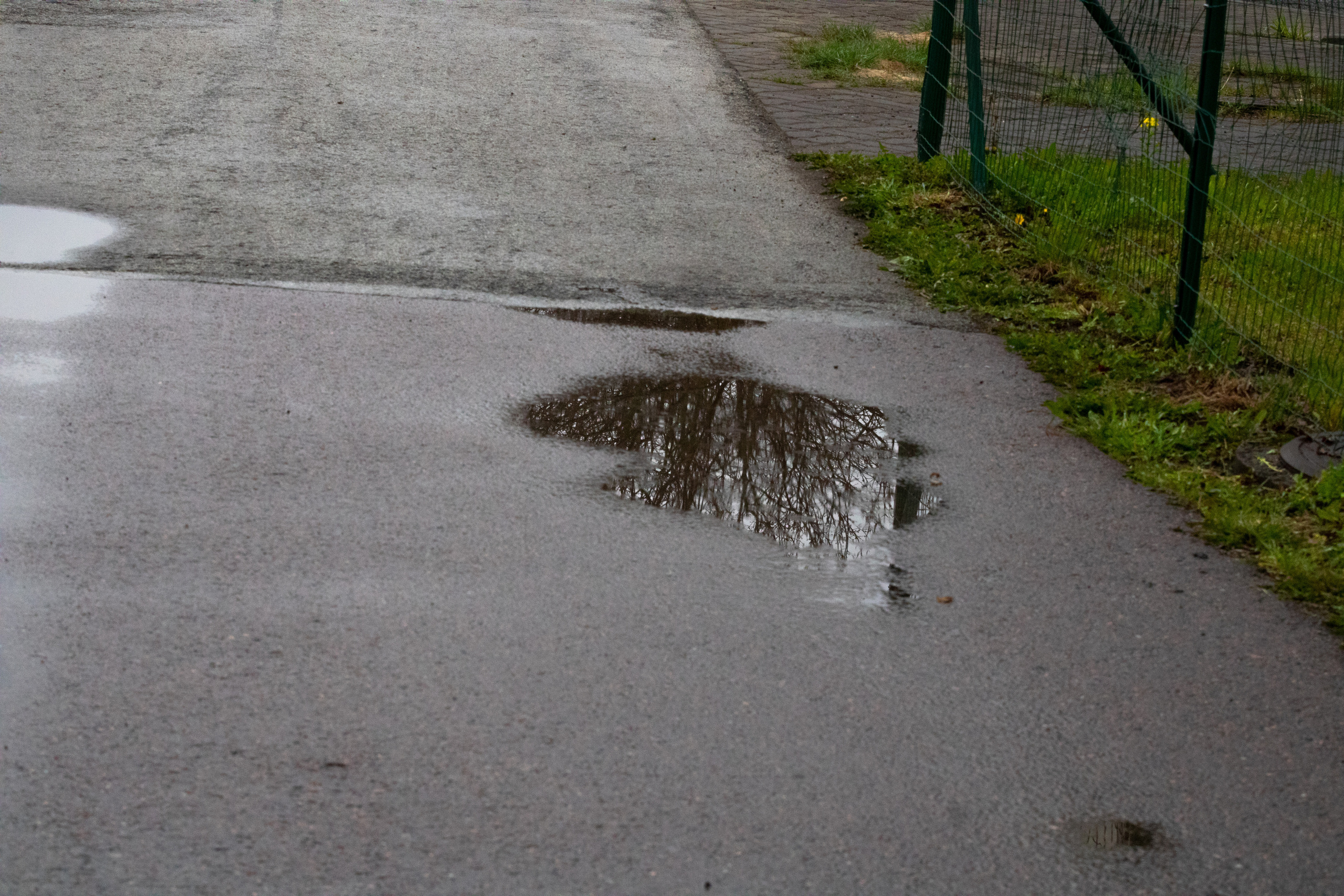 Möldre tee. Nebula 25 — Fotod teie hingele