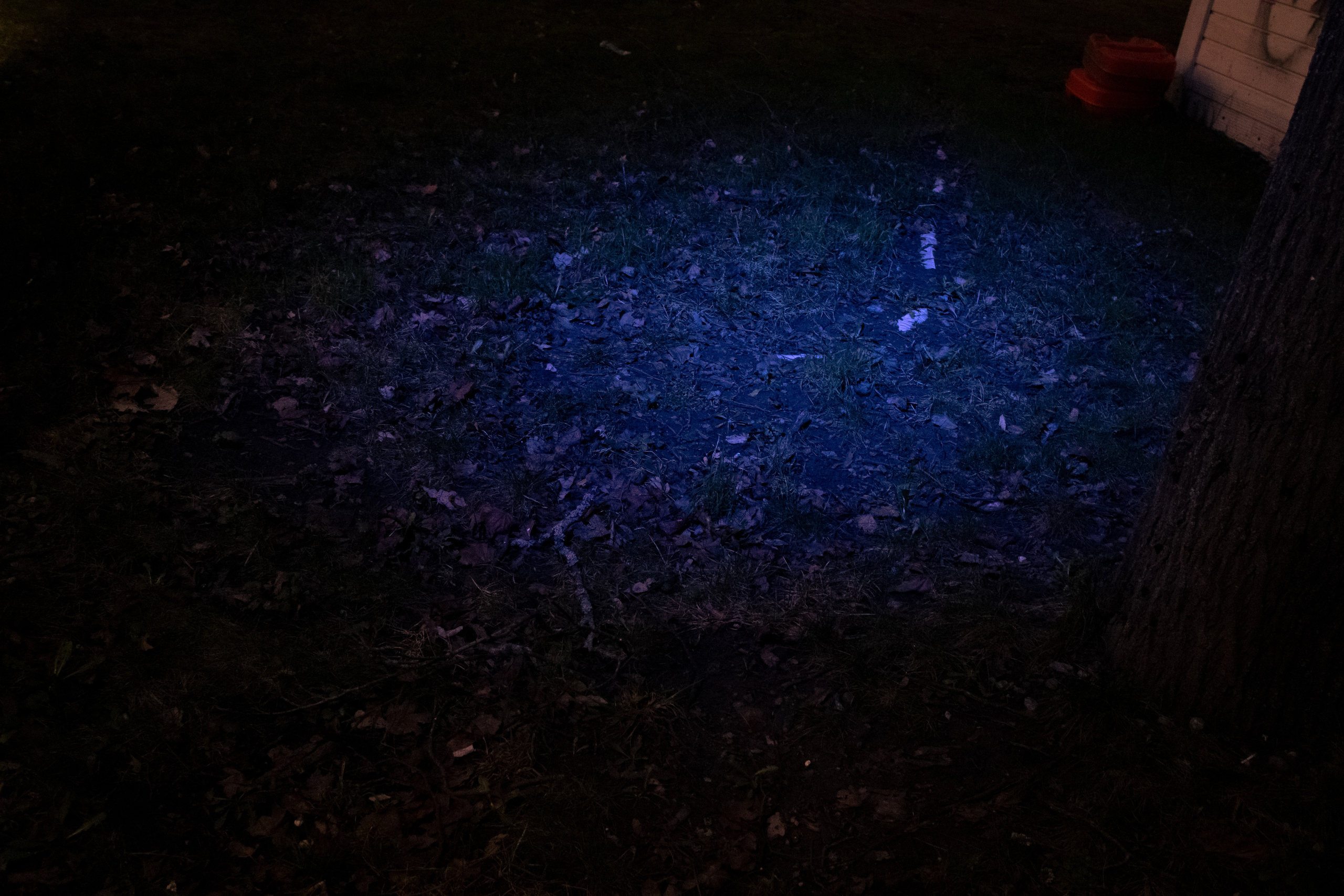 Rootsi reis. Nebula 25 — Fotod teie hingele