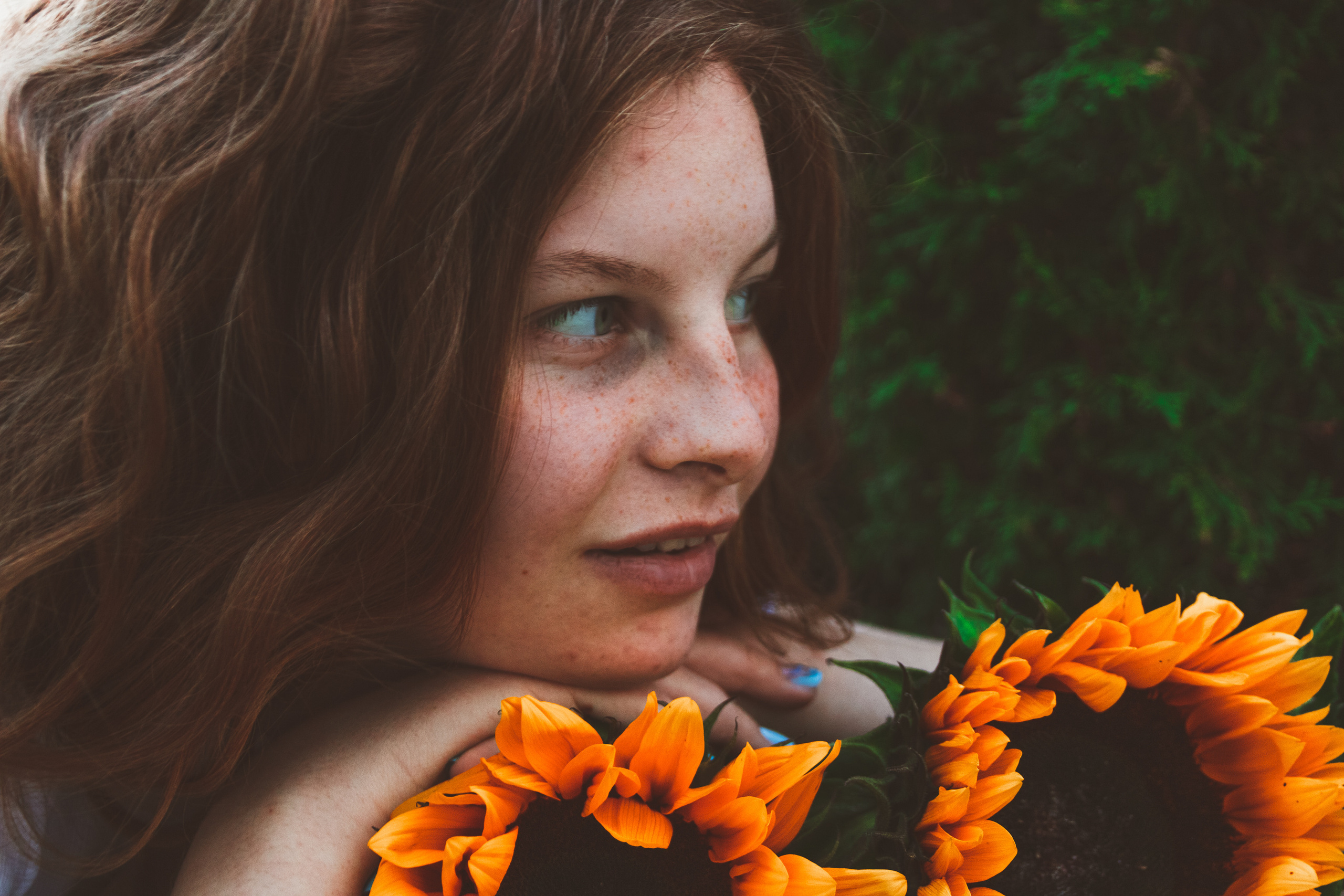 Päevalilled (Nika A.). Nebula 25 — Fotod teie hingele