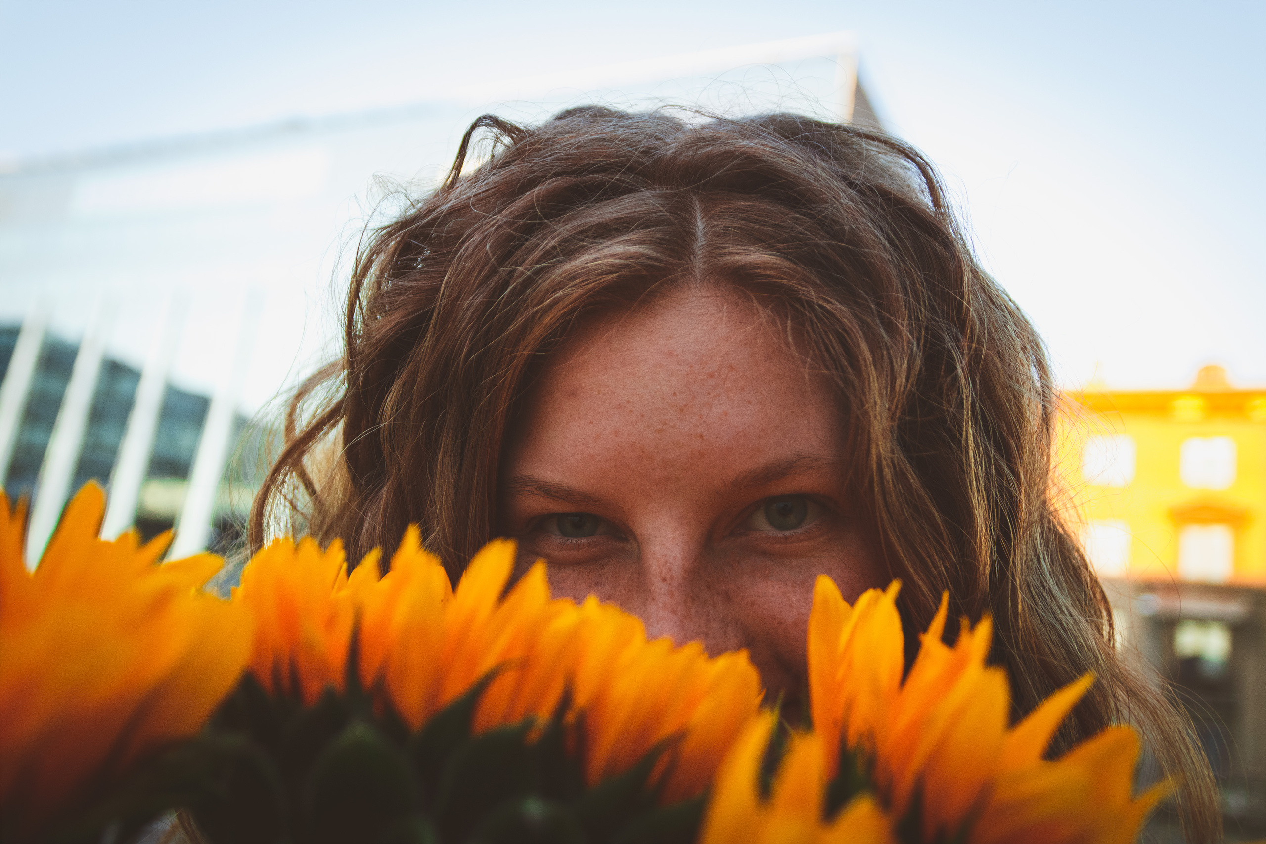 Päevalilled (Nika A.). Nebula 25 — Fotod teie hingele