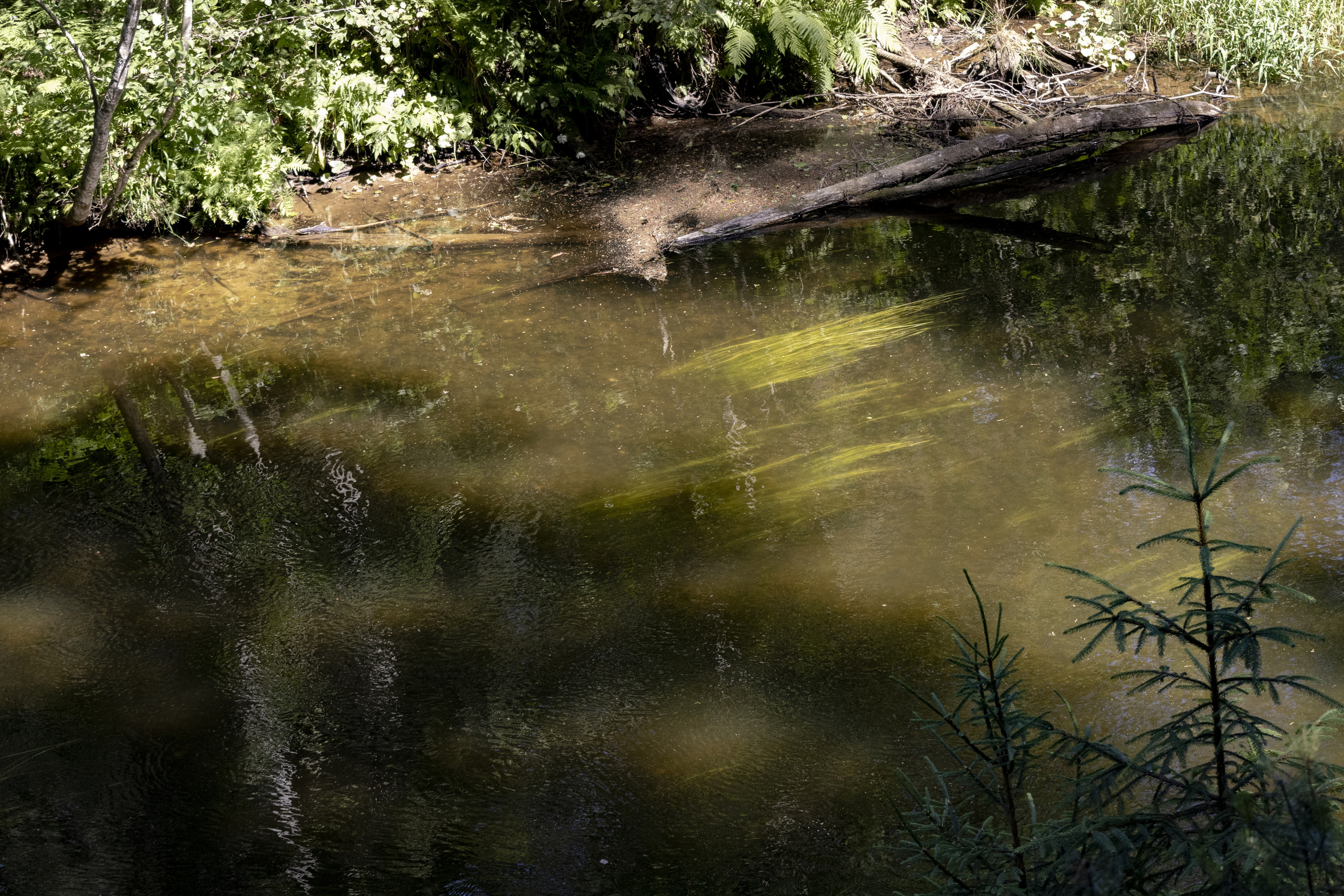 Peipsi järv (Taevaskoja). Nebula 25 — Fotod teie hingele