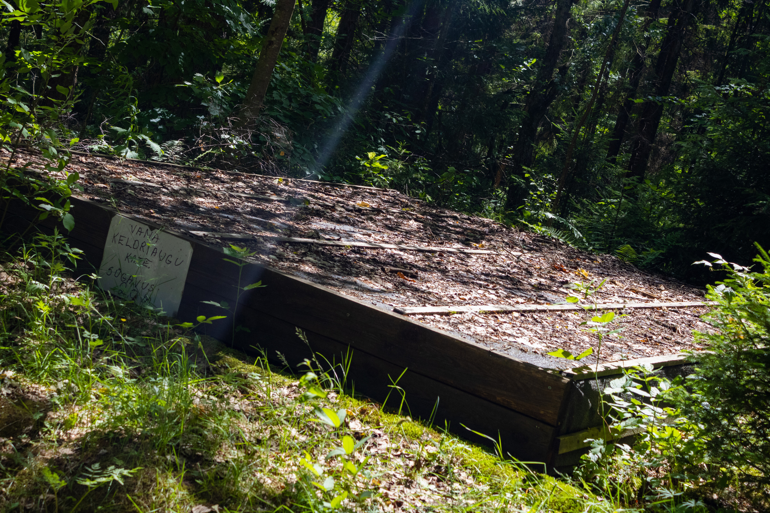 Peipsi järv (Taevaskoja). Nebula 25 — Fotod teie hingele