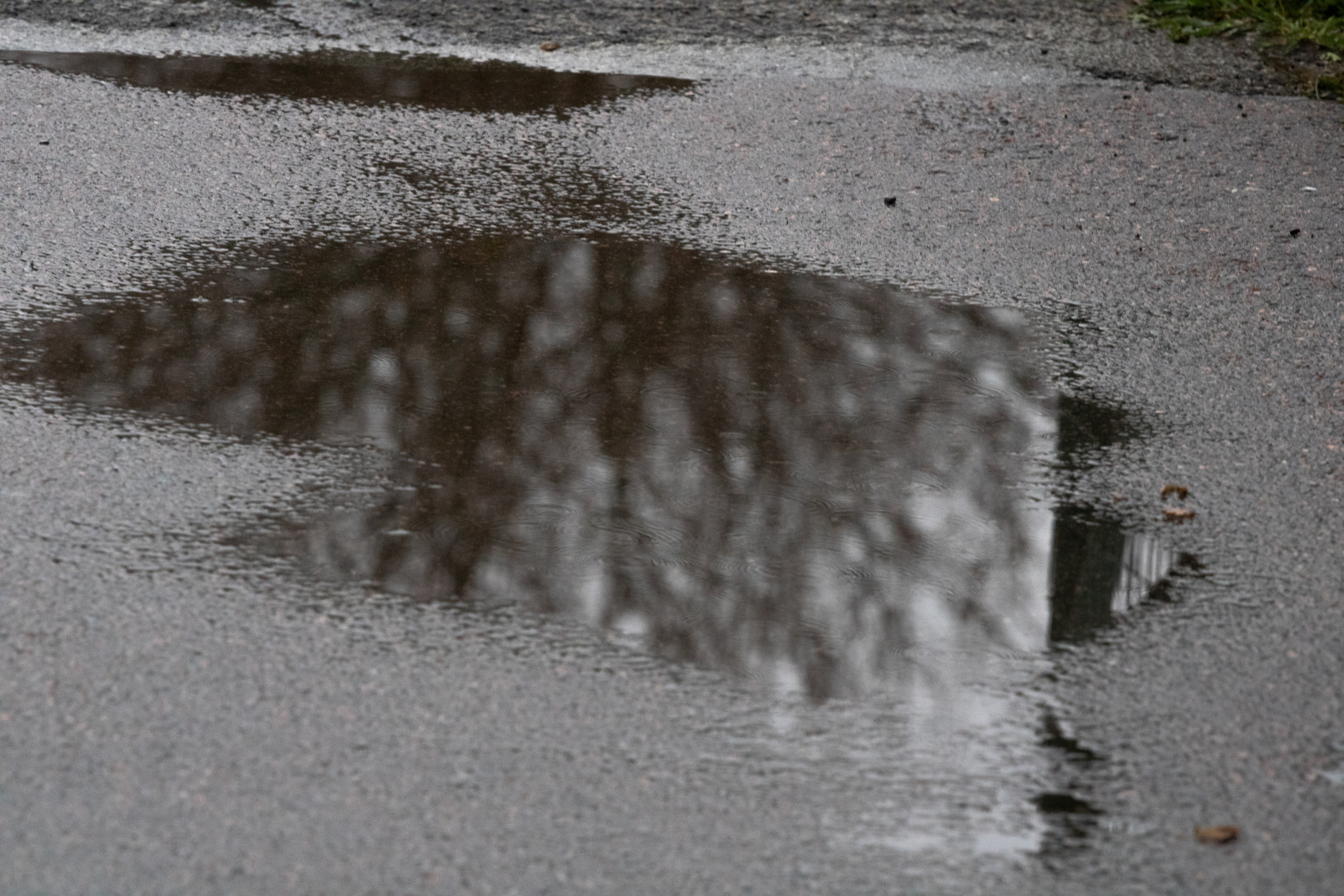 Möldre tee. Nebula 25 — Fotod teie hingele