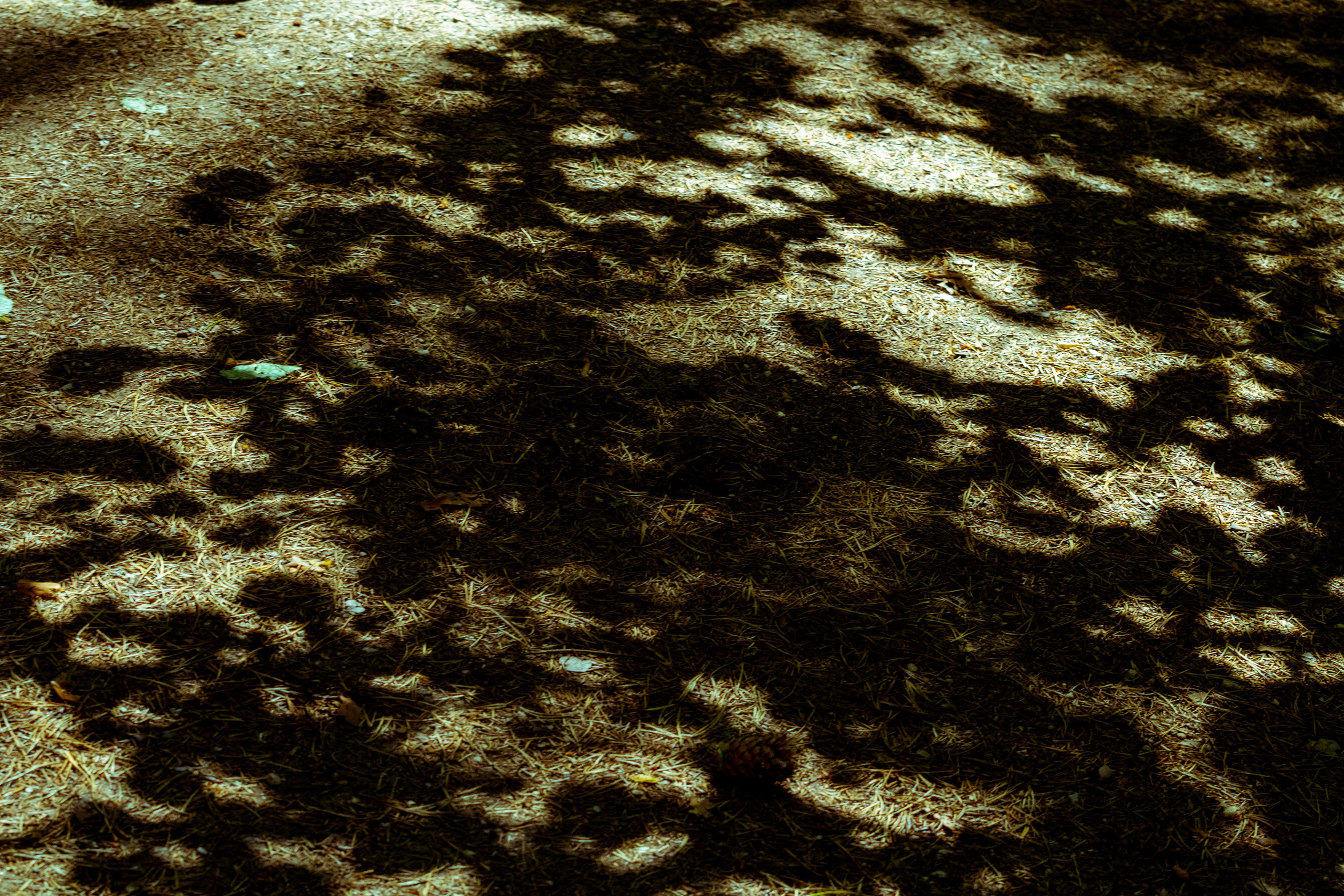 Peipsi järv (Taevaskoja). Nebula 25 — Fotod teie hingele