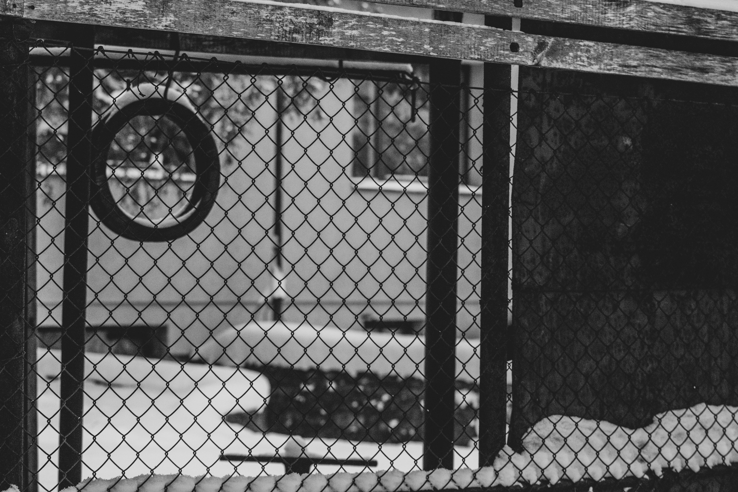 Talvine mets (2021 a.). Nebula 25 — Fotod teie hingele