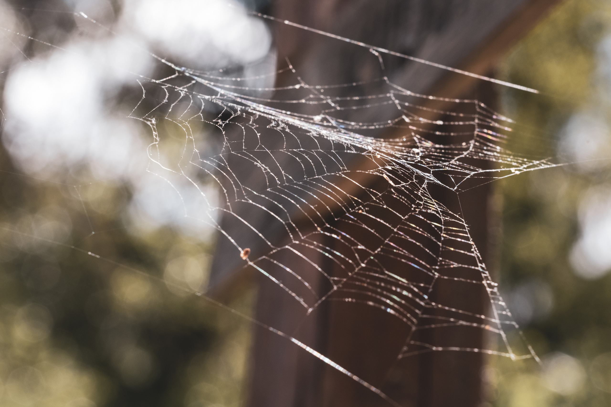 Peipsi järv (Taevaskoja). Nebula 25 — Fotod teie hingele