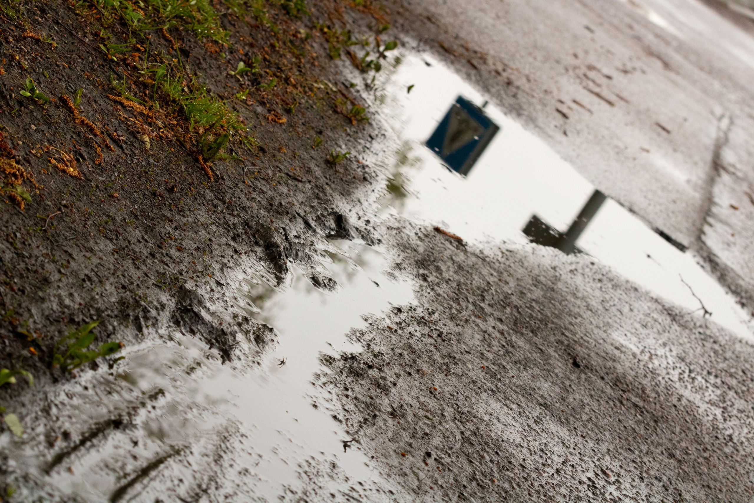 Möldre tee. Nebula 25 — Fotod teie hingele