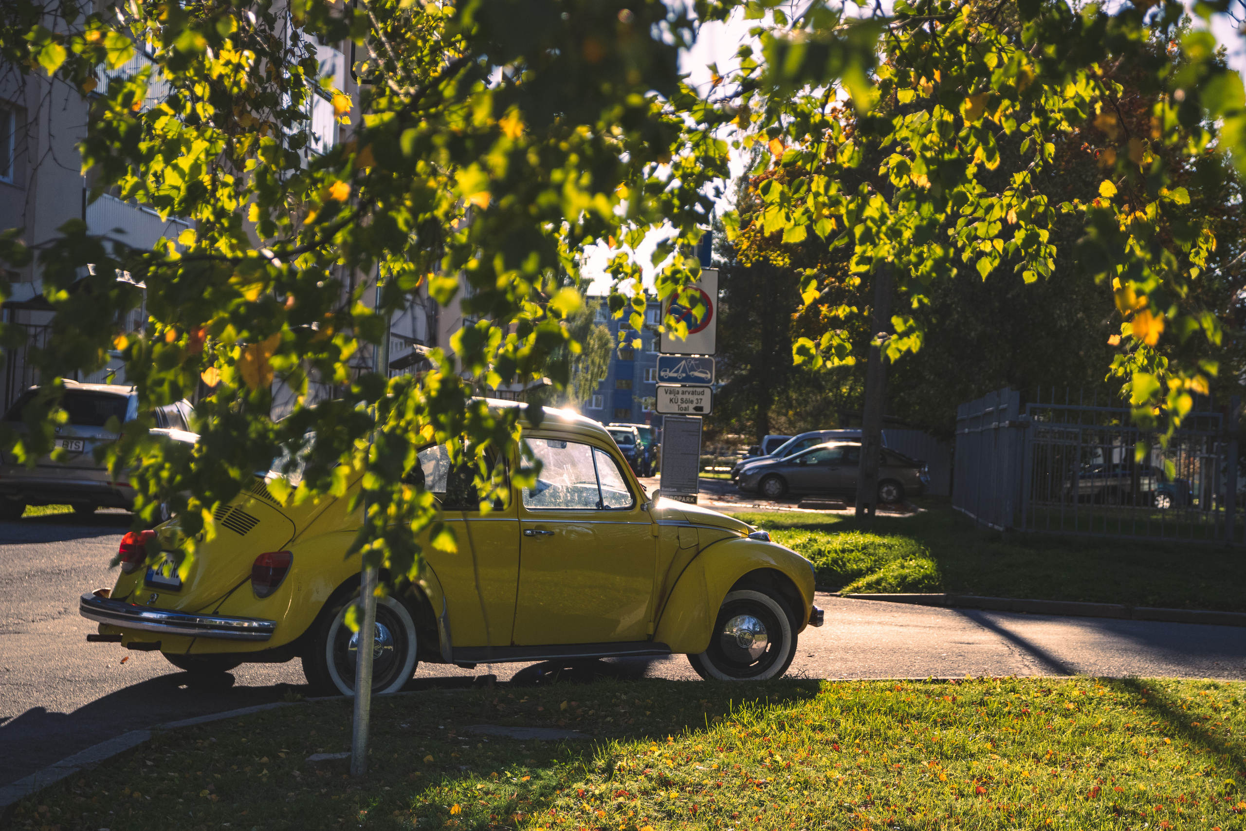 Tsoon „Stalker“ ja Volkswagen Beetle. Nebula 25 — Fotod teie hingele