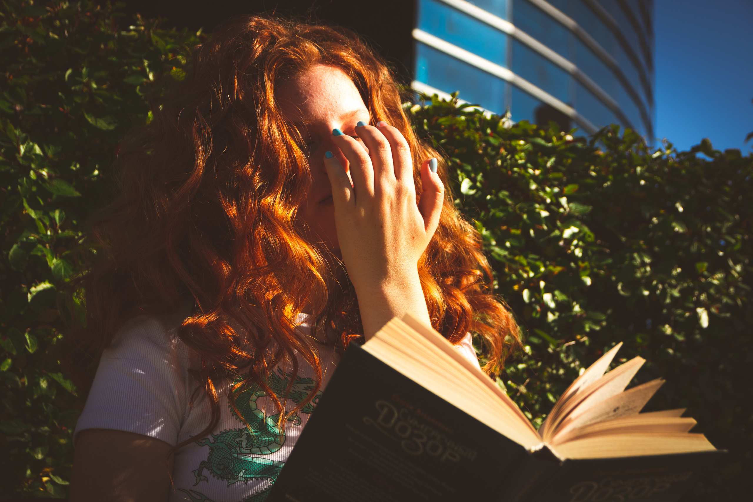 Päevalilled (Nika A.). Nebula 25 — Fotod teie hingele