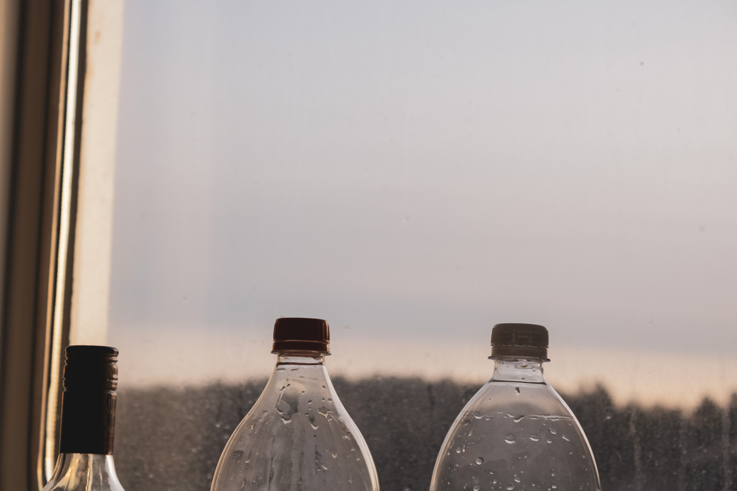 Rootsi reis. Nebula 25 — Fotod teie hingele