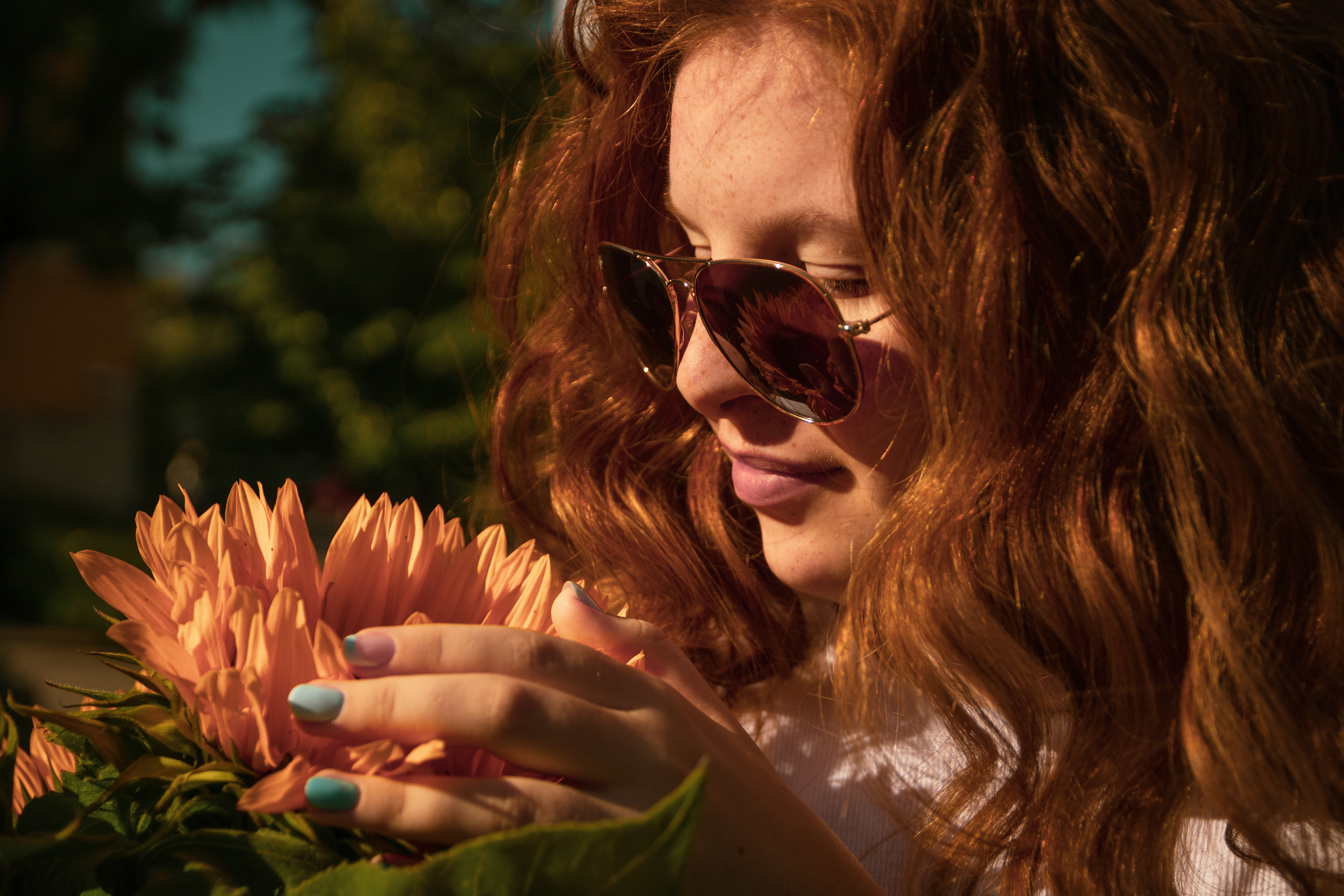 Päevalilled (Nika A.). Nebula 25 — Fotod teie hingele