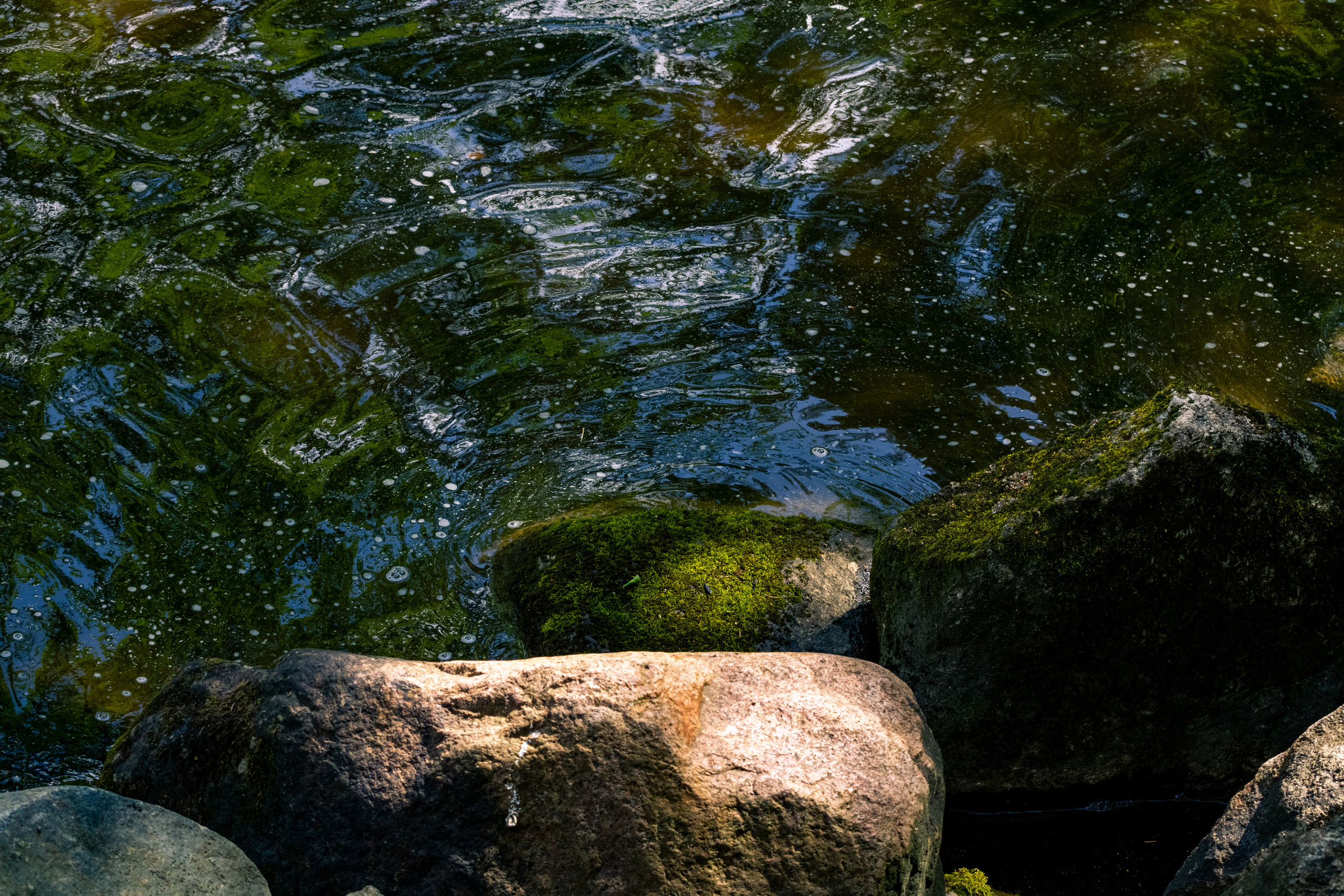 Peipsi järv (Taevaskoja). Nebula 25 — Fotod teie hingele