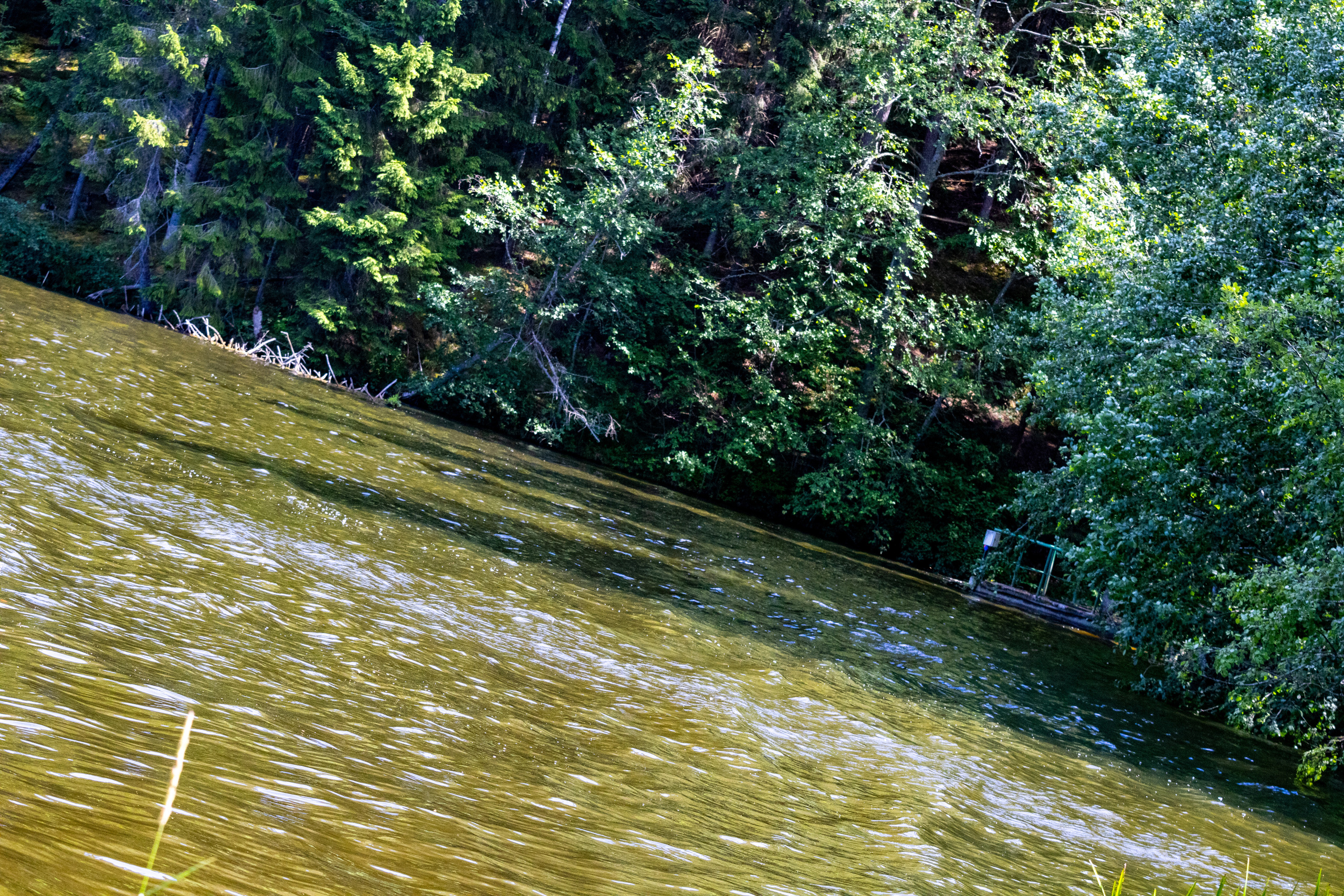 Peipsi järv (Taevaskoja). Nebula 25 — Fotod teie hingele