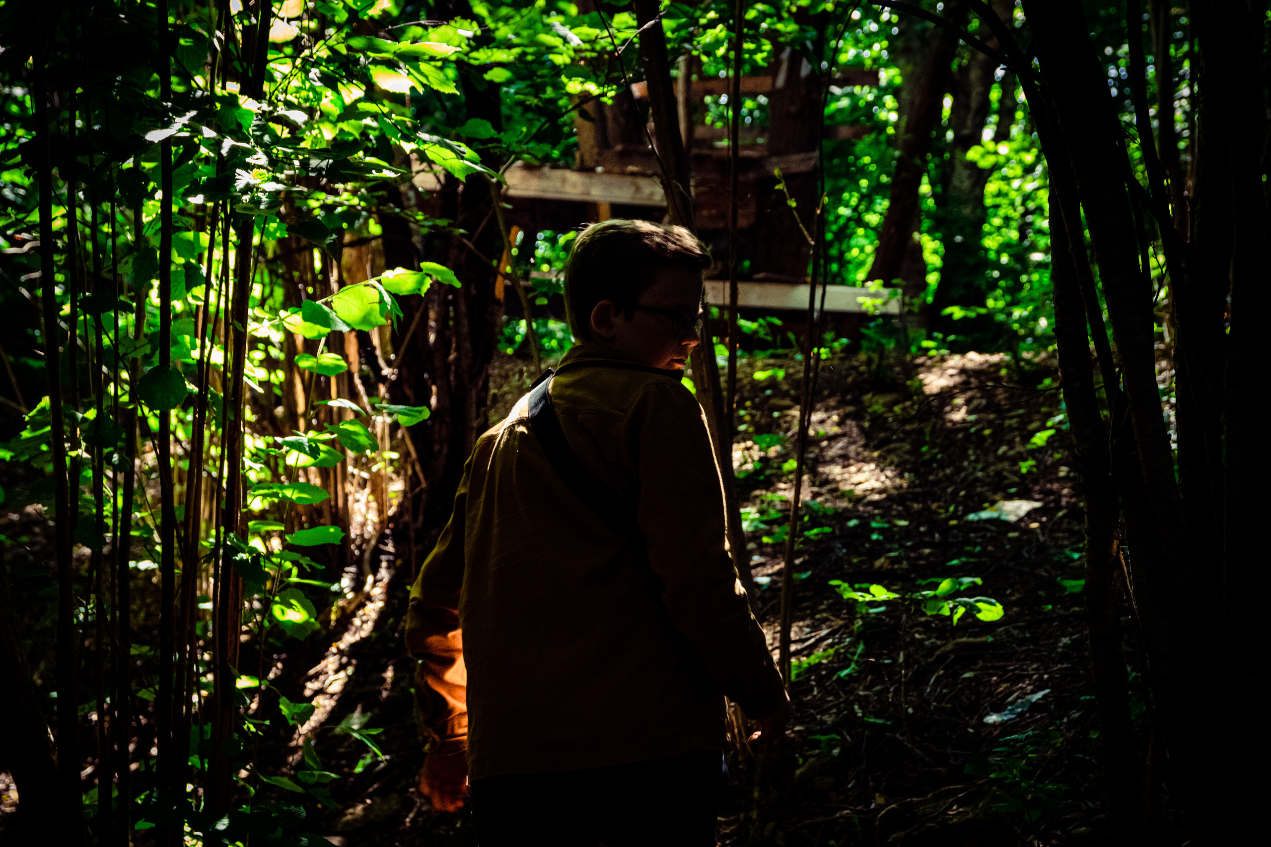 Imelikkus ja hullus (Timur). Nebula 25 — Fotod teie hingele