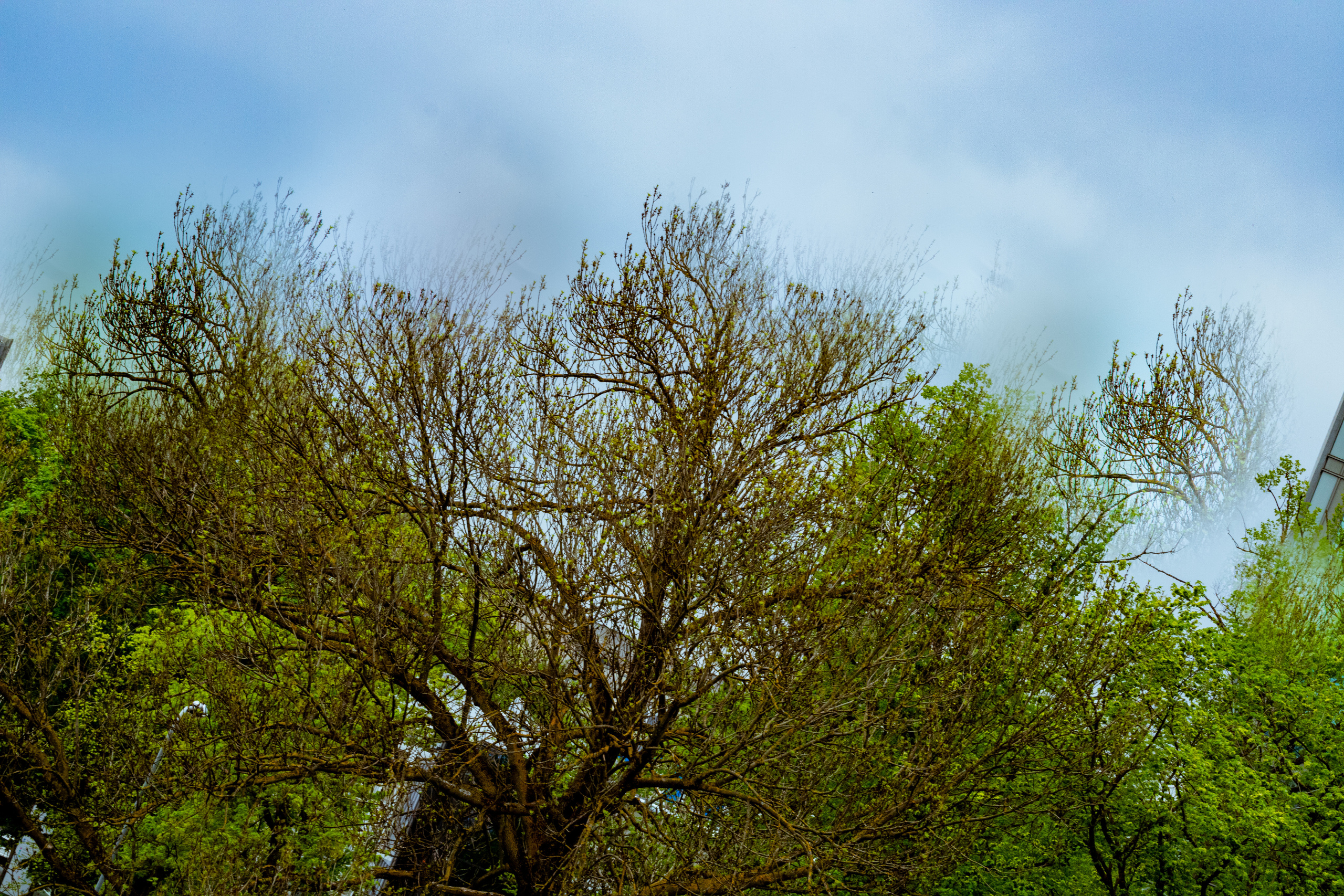 Viadukti ümbrus (2020 a.). Nebula 25 — Fotod teie hingele