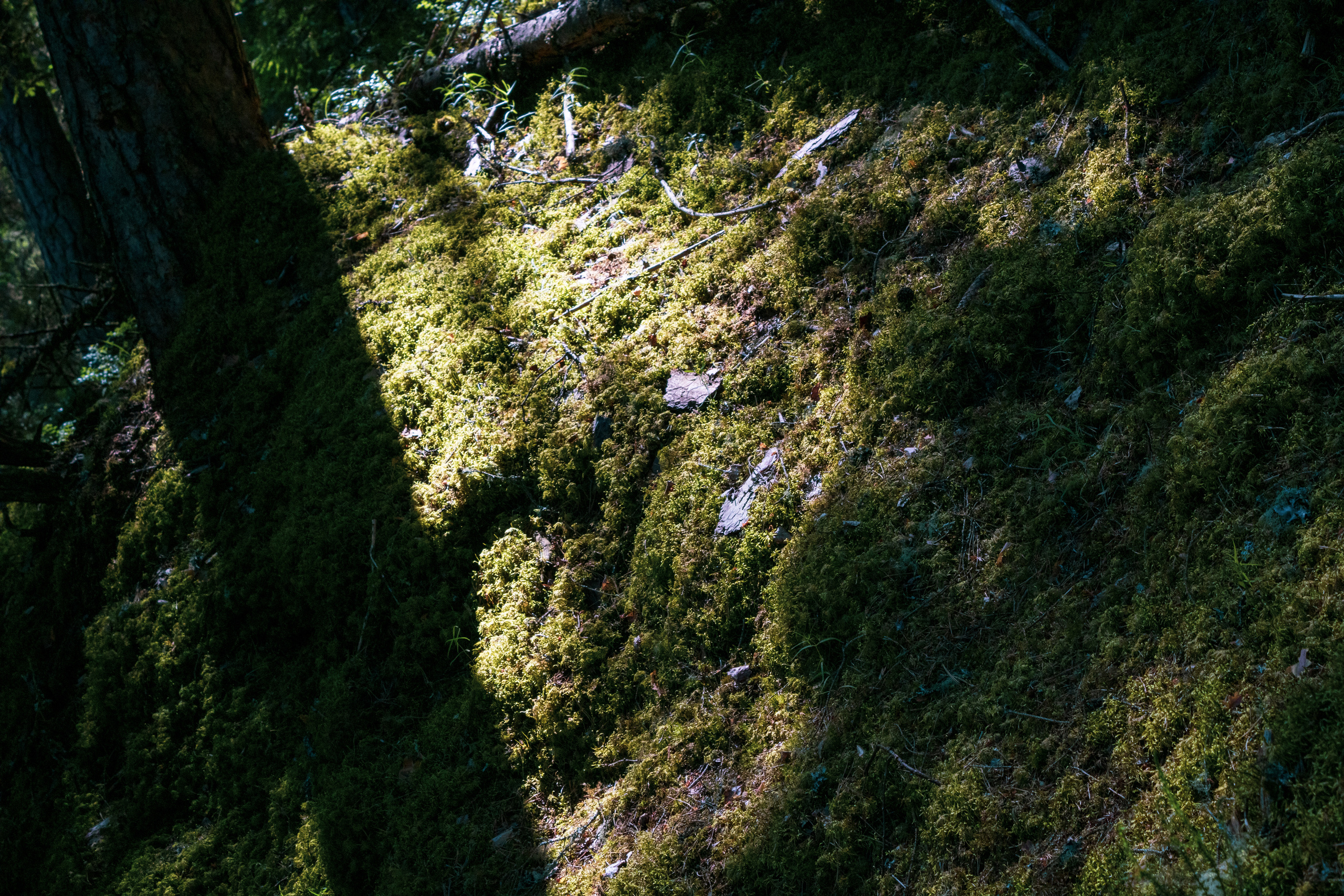 Peipsi järv (Taevaskoja). Nebula 25 — Fotod teie hingele