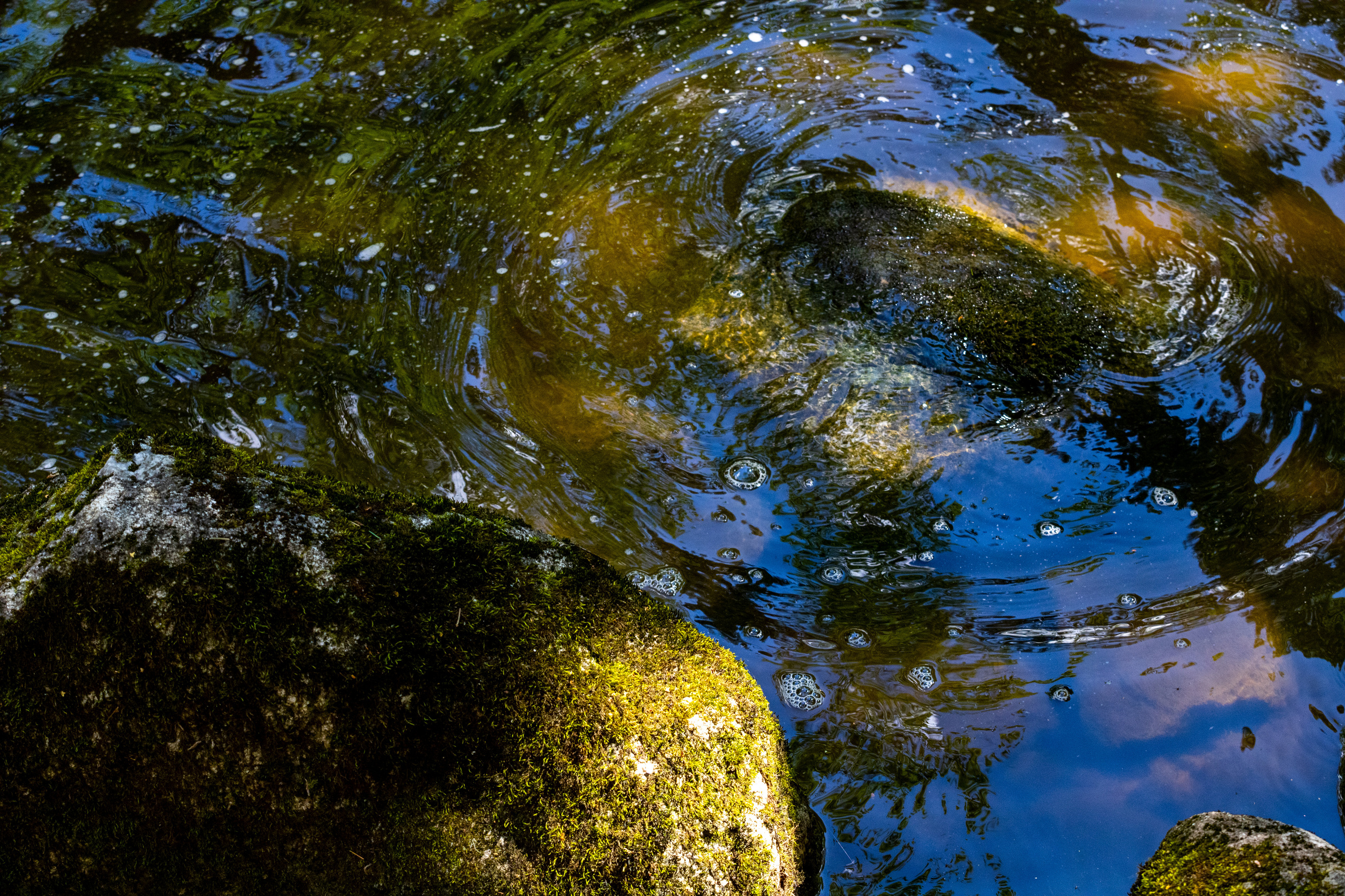 Peipsi järv (Taevaskoja). Nebula 25 — Fotod teie hingele