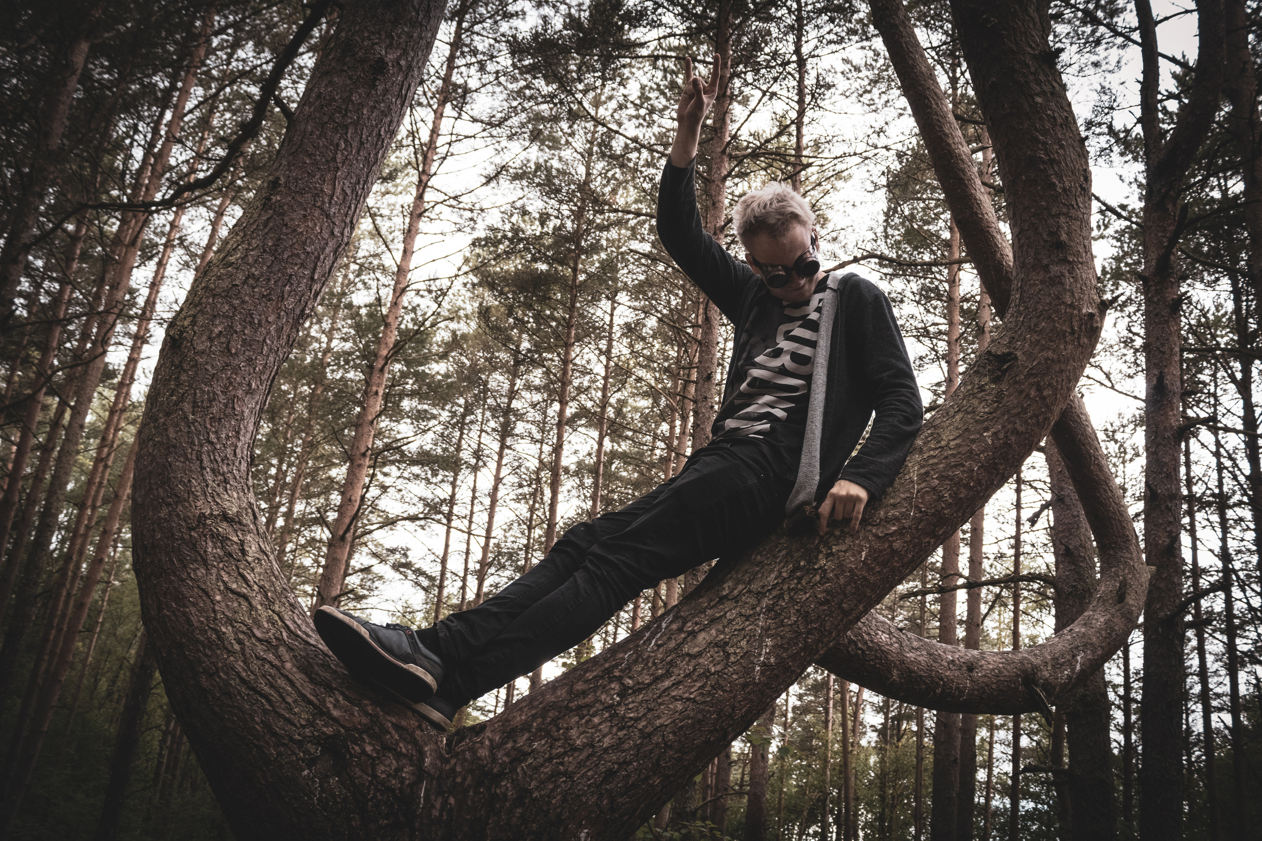 Pääsküla rabarada (Kolja J.). Nebula 25 — Fotod teie hingele