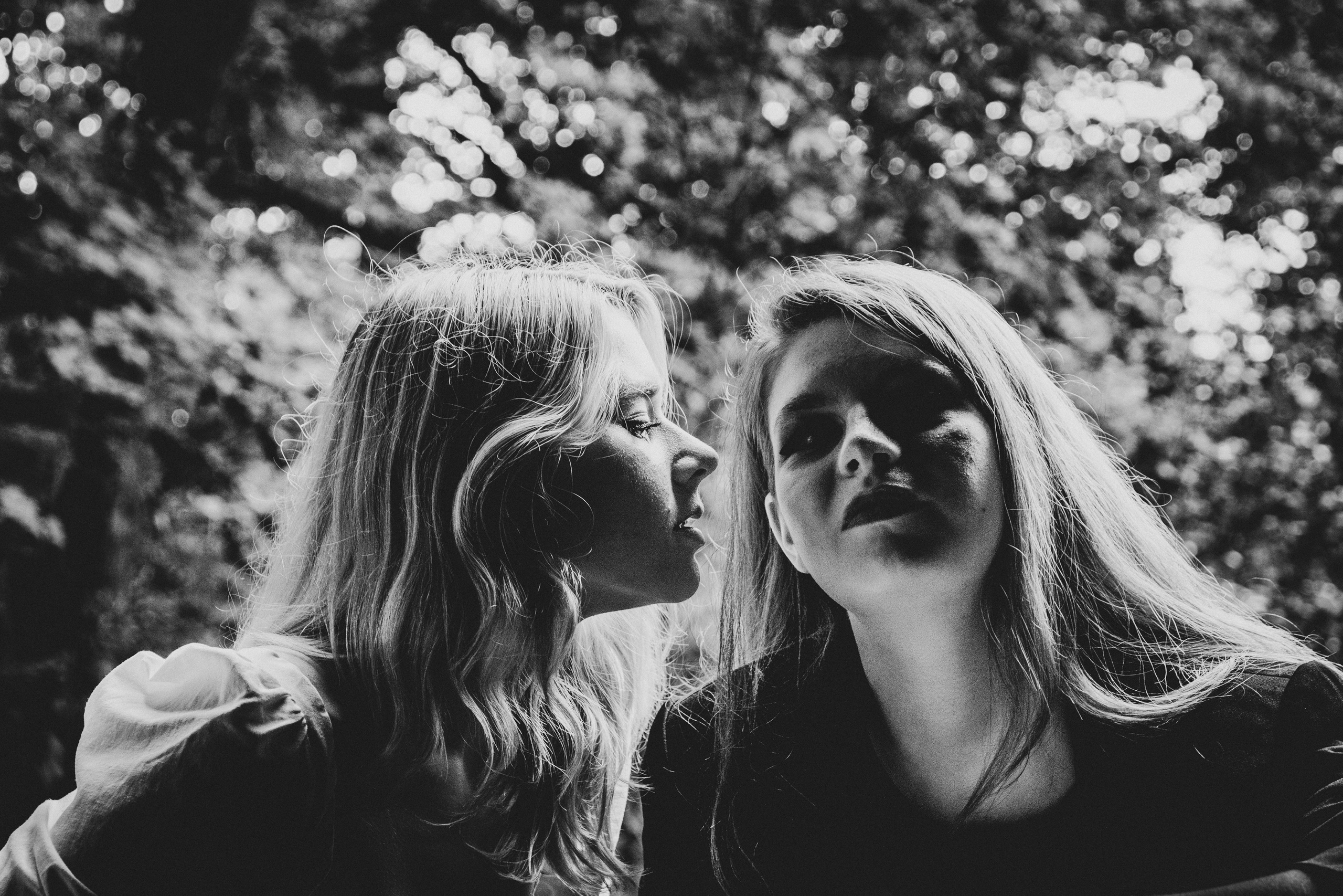 „Måneskin“ (sõpruskond). Nebula 25 — Fotod teie hingele