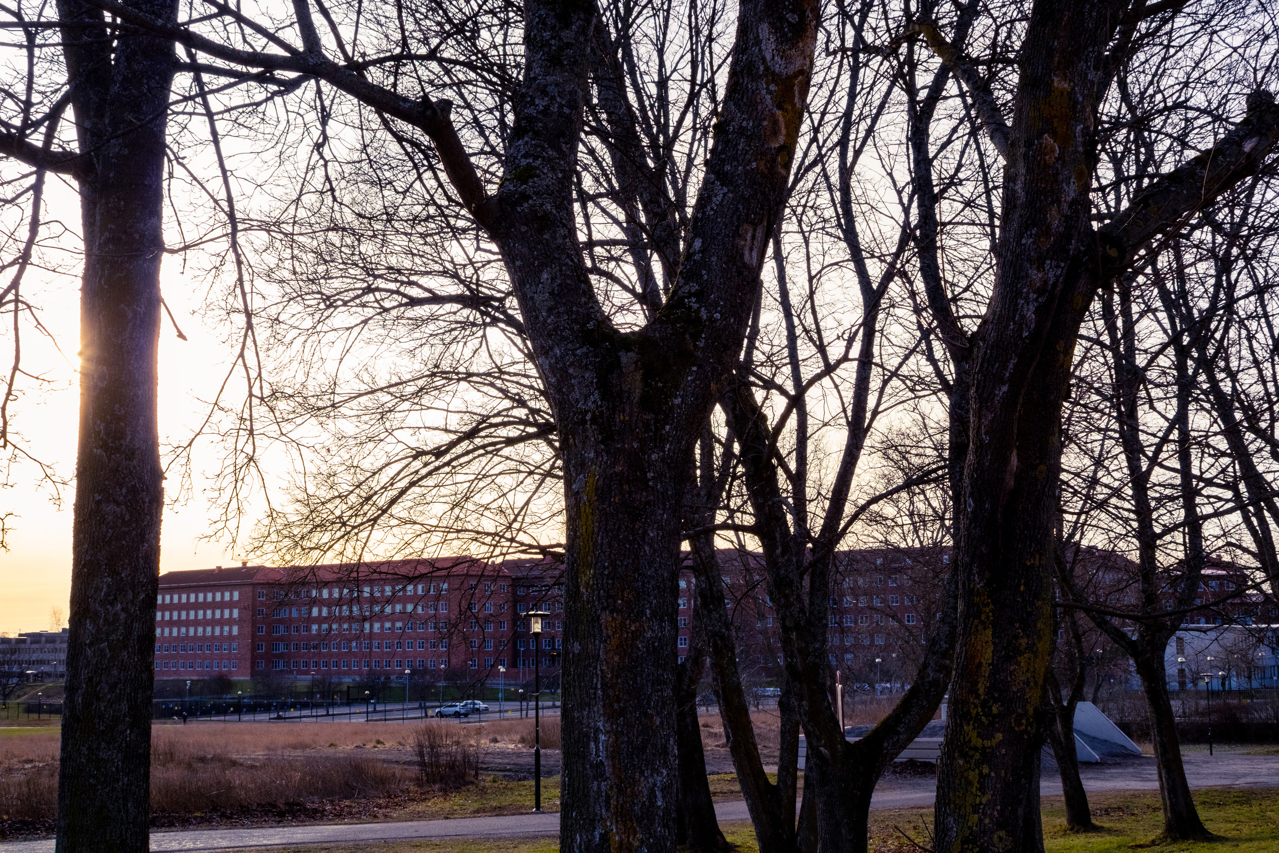Rootsi reis. Nebula 25 — Fotod teie hingele