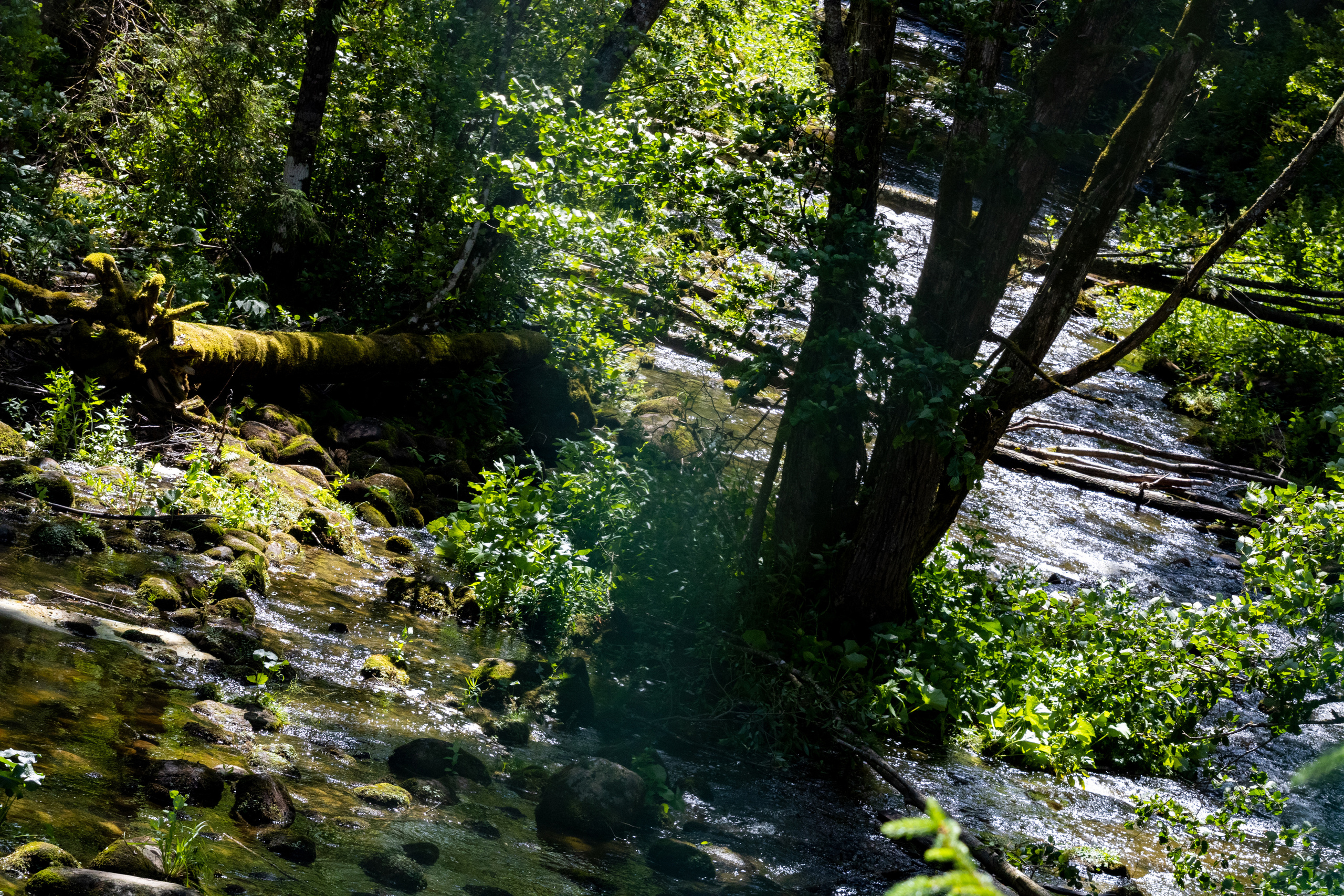 Peipsi järv (Taevaskoja). Nebula 25 — Fotod teie hingele