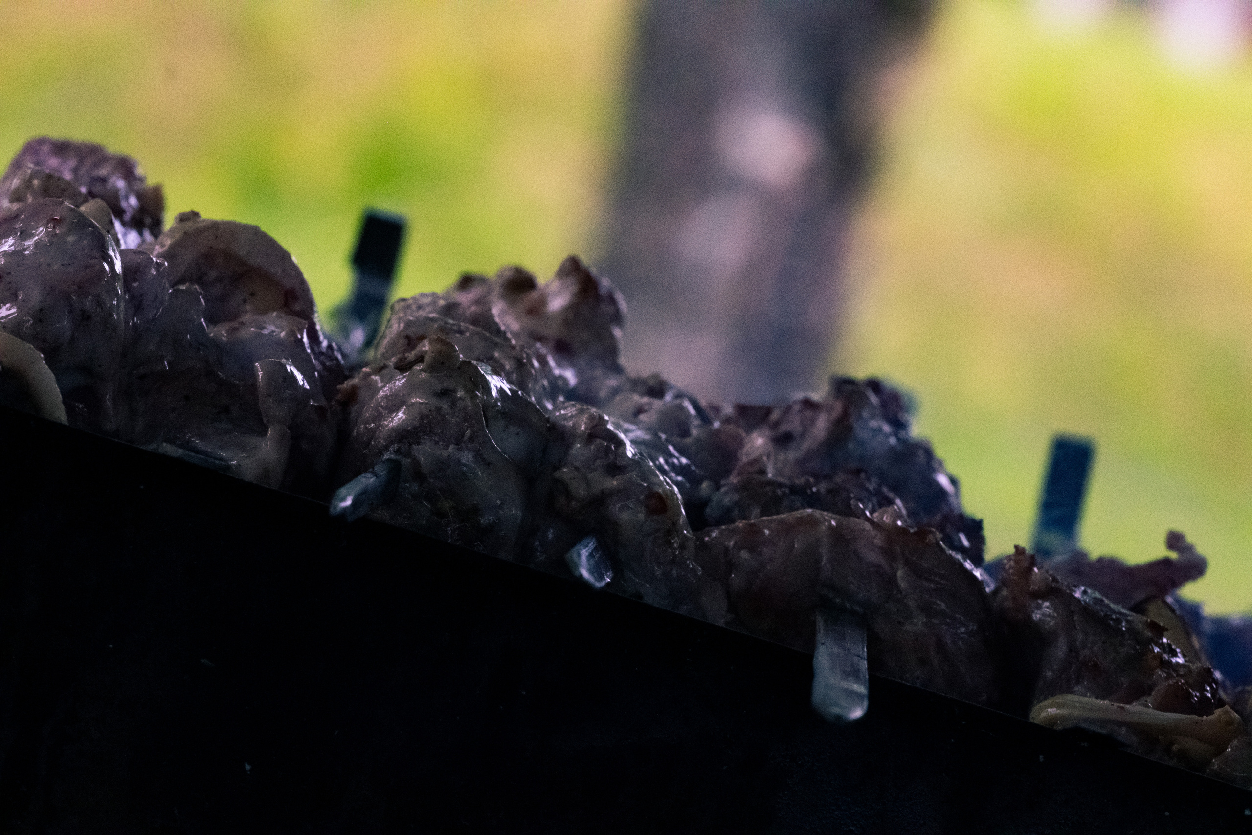 Peipsi järv (lõke). Nebula 25 — Fotod teie hingele