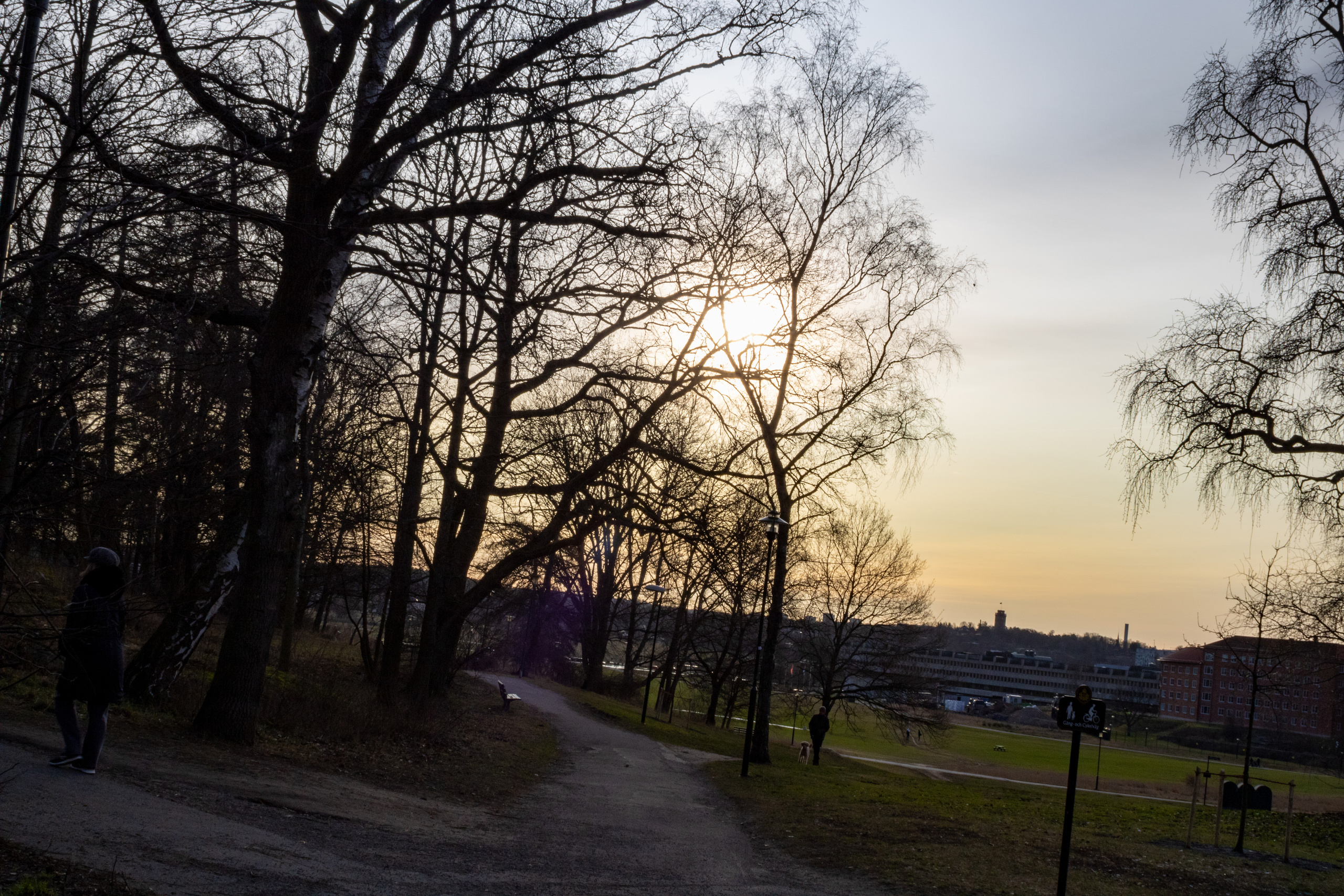 Rootsi reis. Nebula 25 — Fotod teie hingele