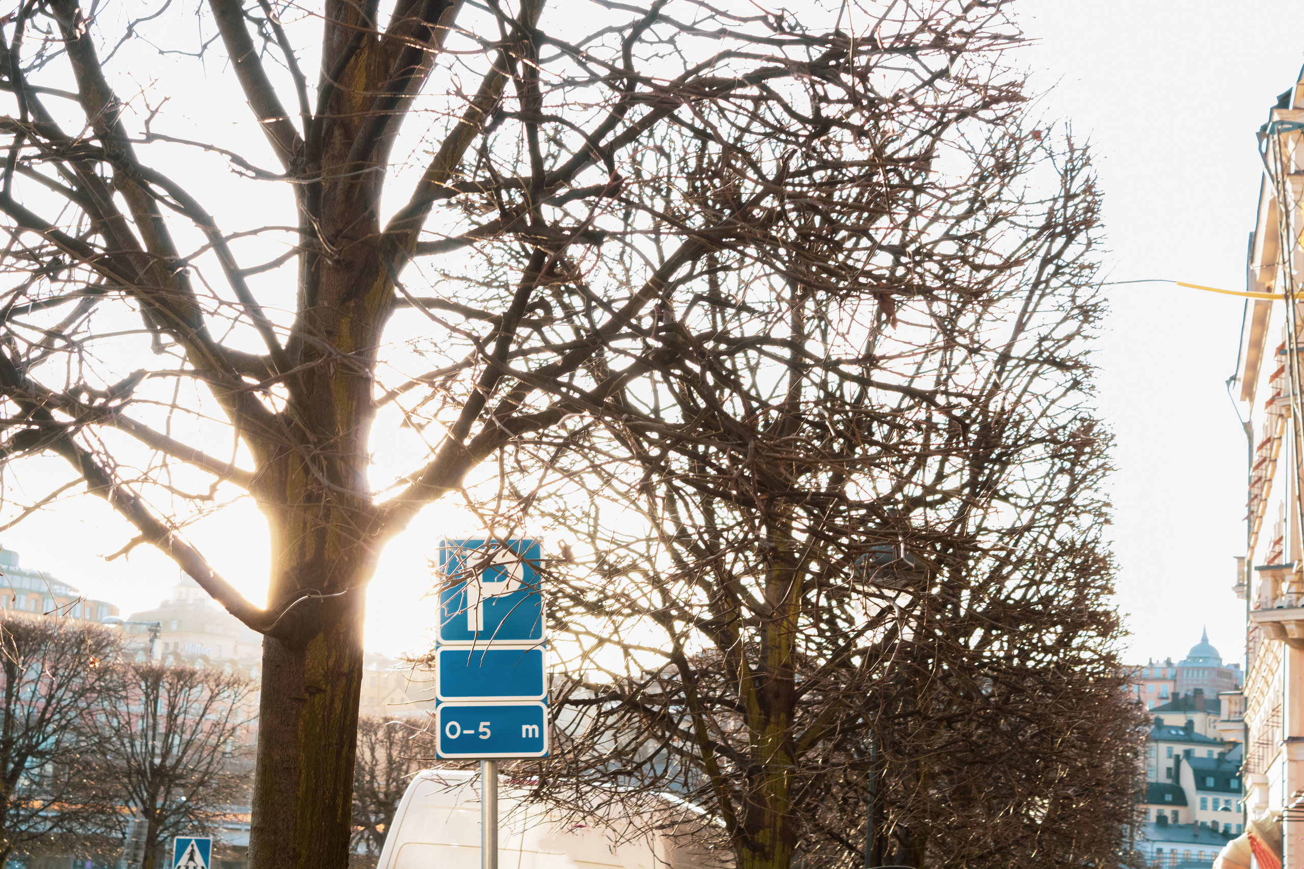 Rootsi reis. Nebula 25 — Fotod teie hingele