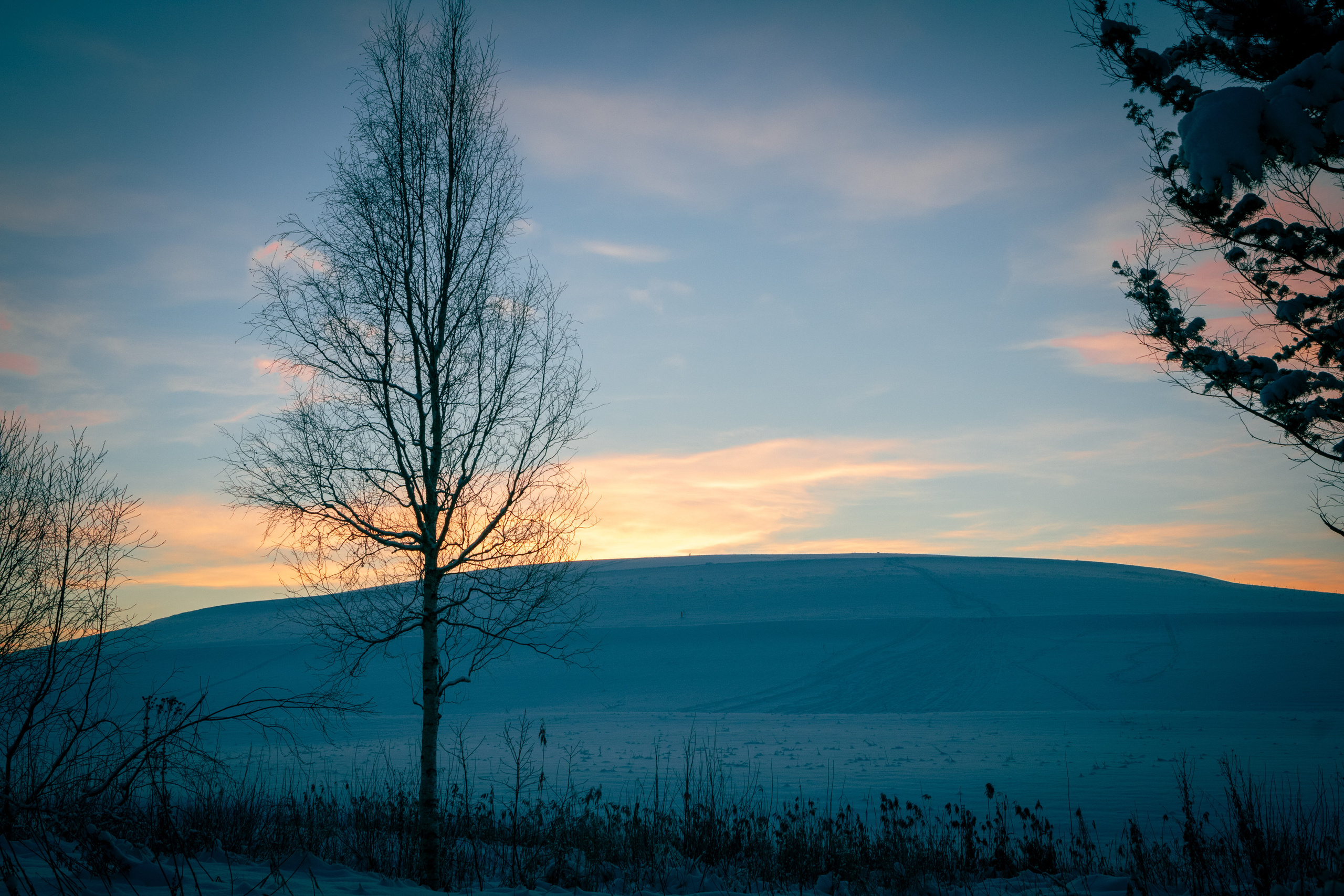 Talvine mets (2021 a.). Nebula 25 — Fotod teie hingele