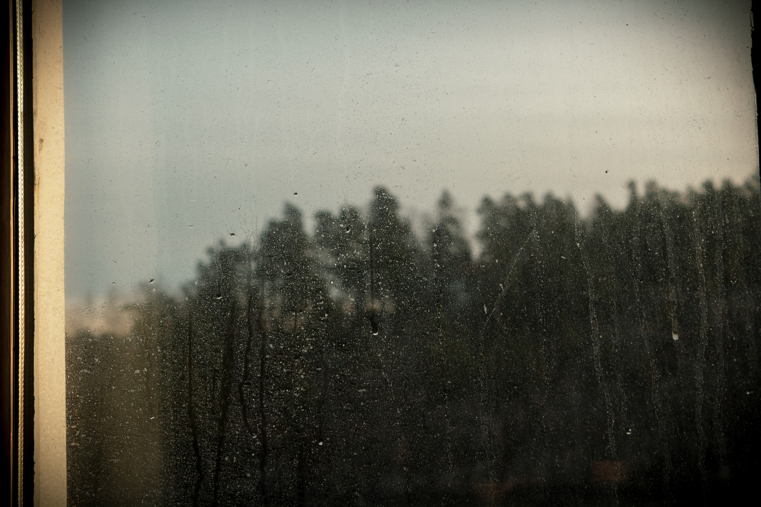 Rootsi reis. Nebula 25 — Fotod teie hingele