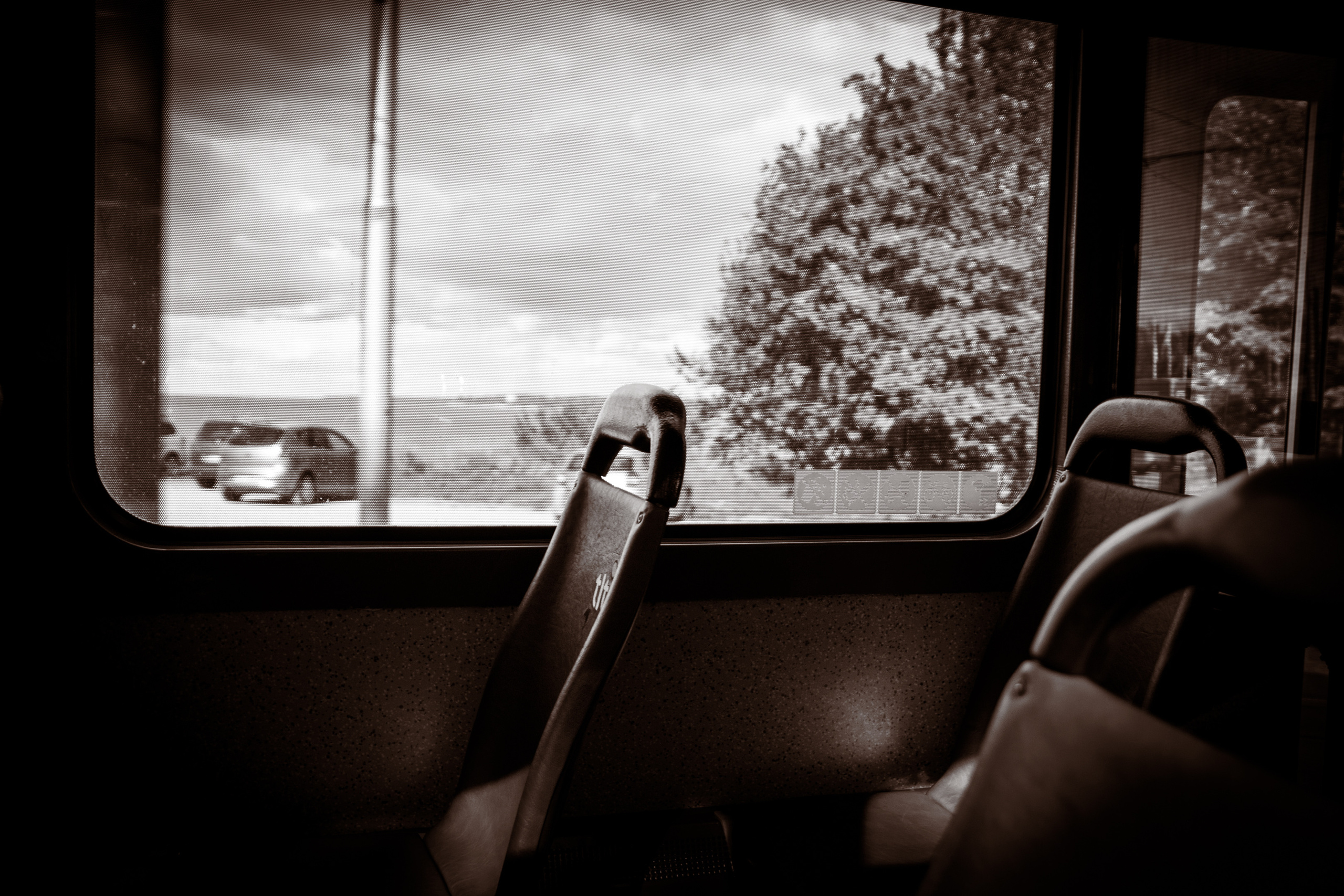 Romantika (Nika ja Pavel). Nebula 25 — Fotod teie hingele