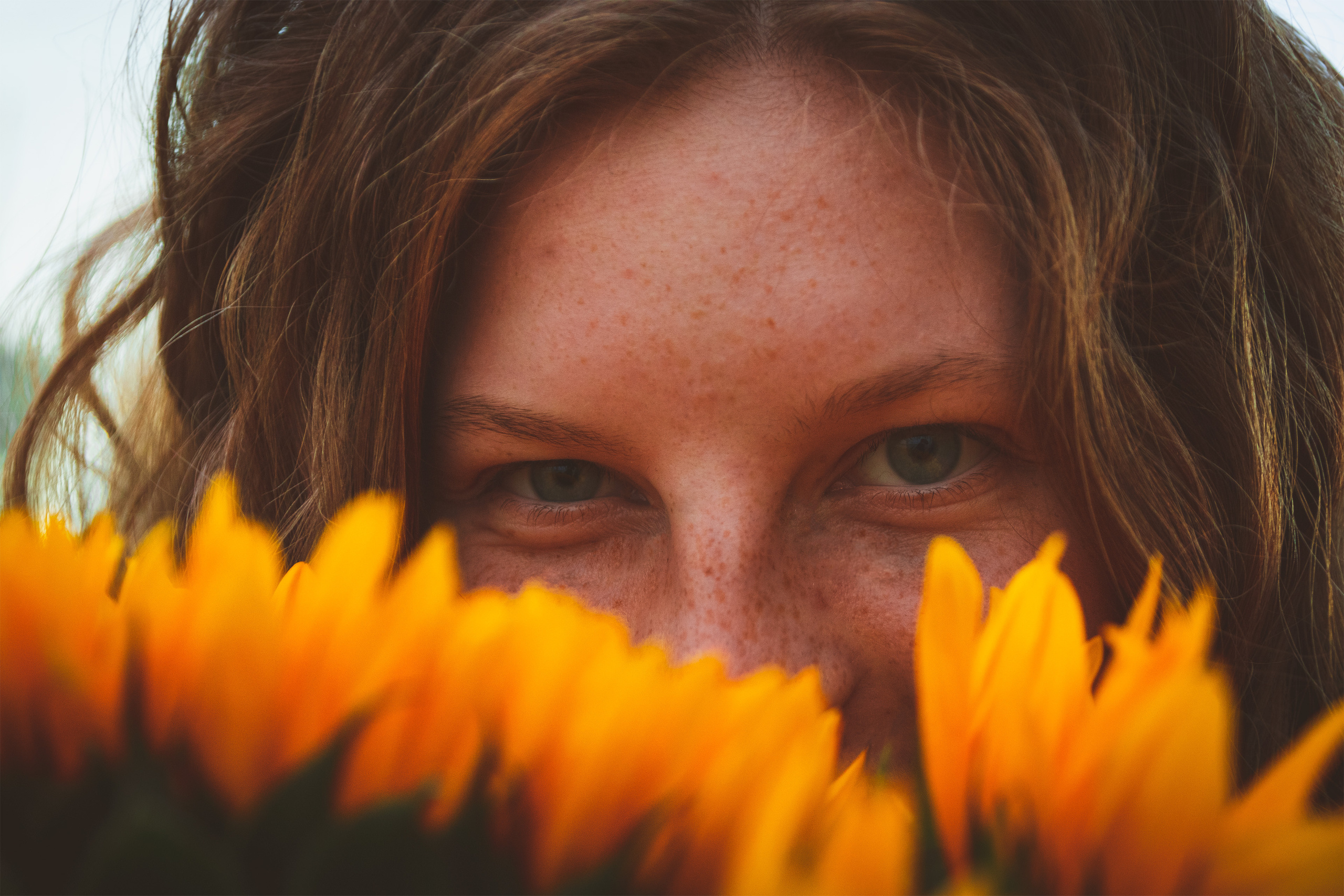 Päevalilled (Nika A.). Nebula 25 — Fotod teie hingele