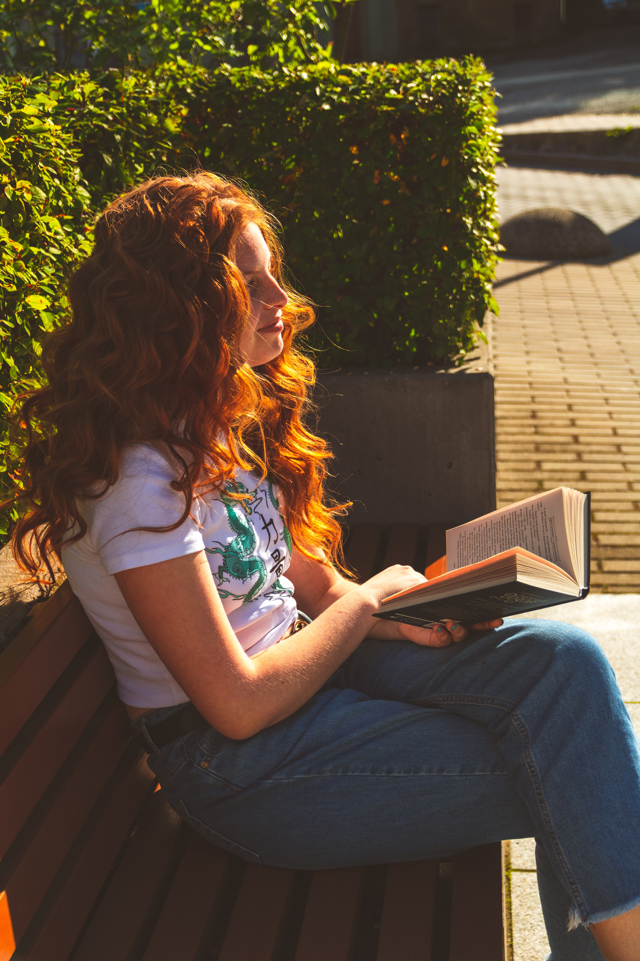 Päevalilled (Nika A.). Nebula 25 — Fotod teie hingele