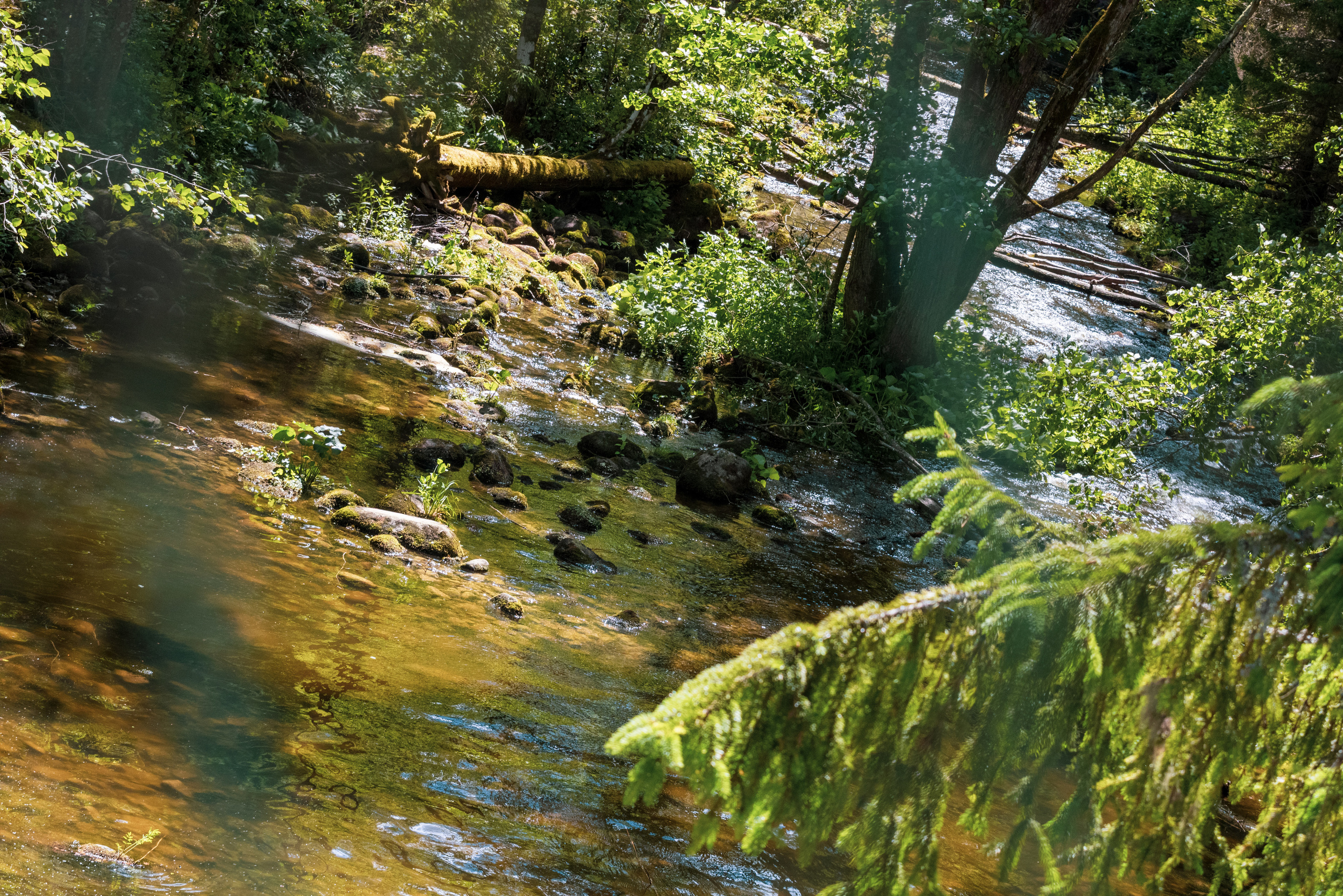 Peipsi järv (Taevaskoja). Nebula 25 — Fotod teie hingele