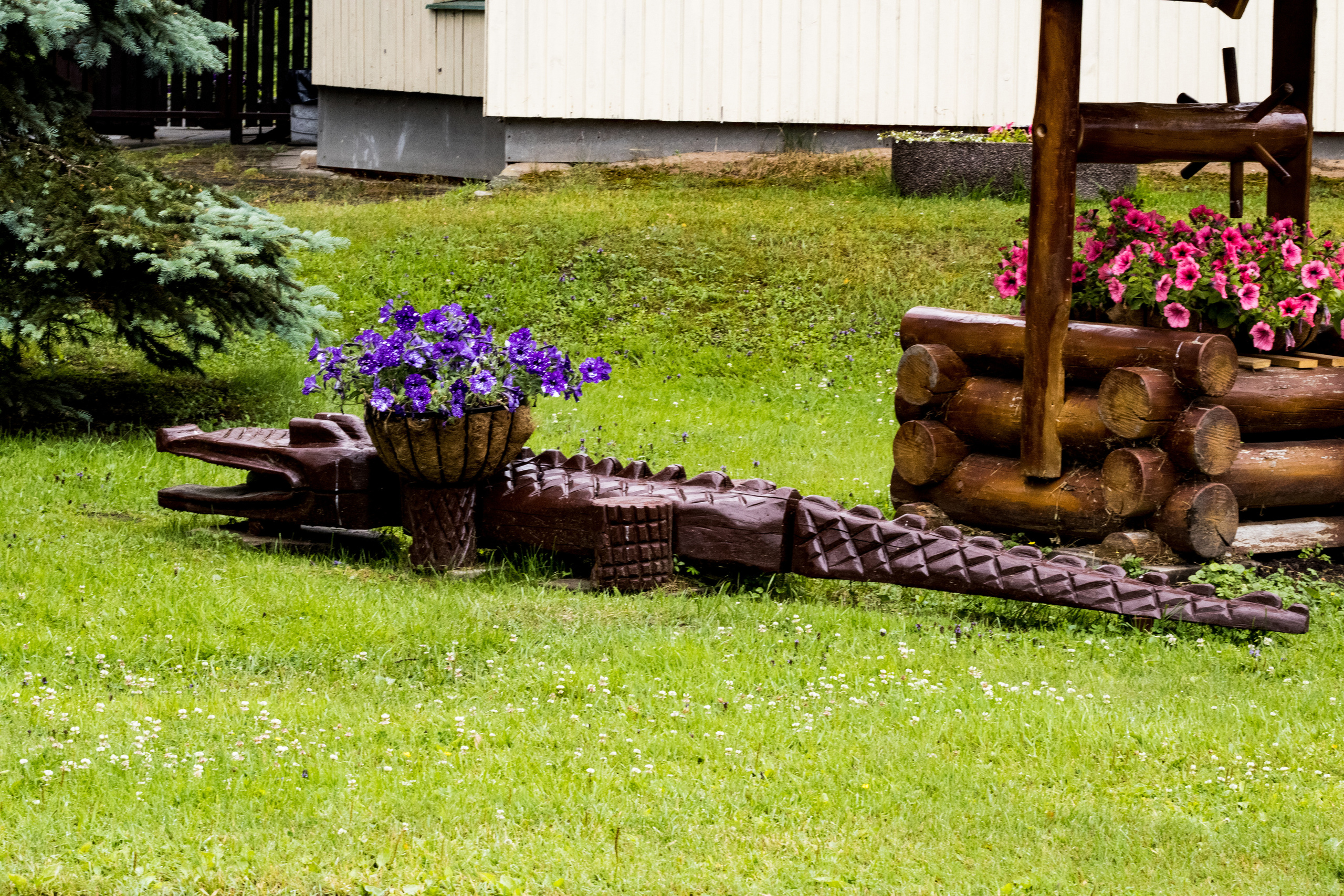 Peipsi järv (lilled). Nebula 25 — Fotod teie hingele