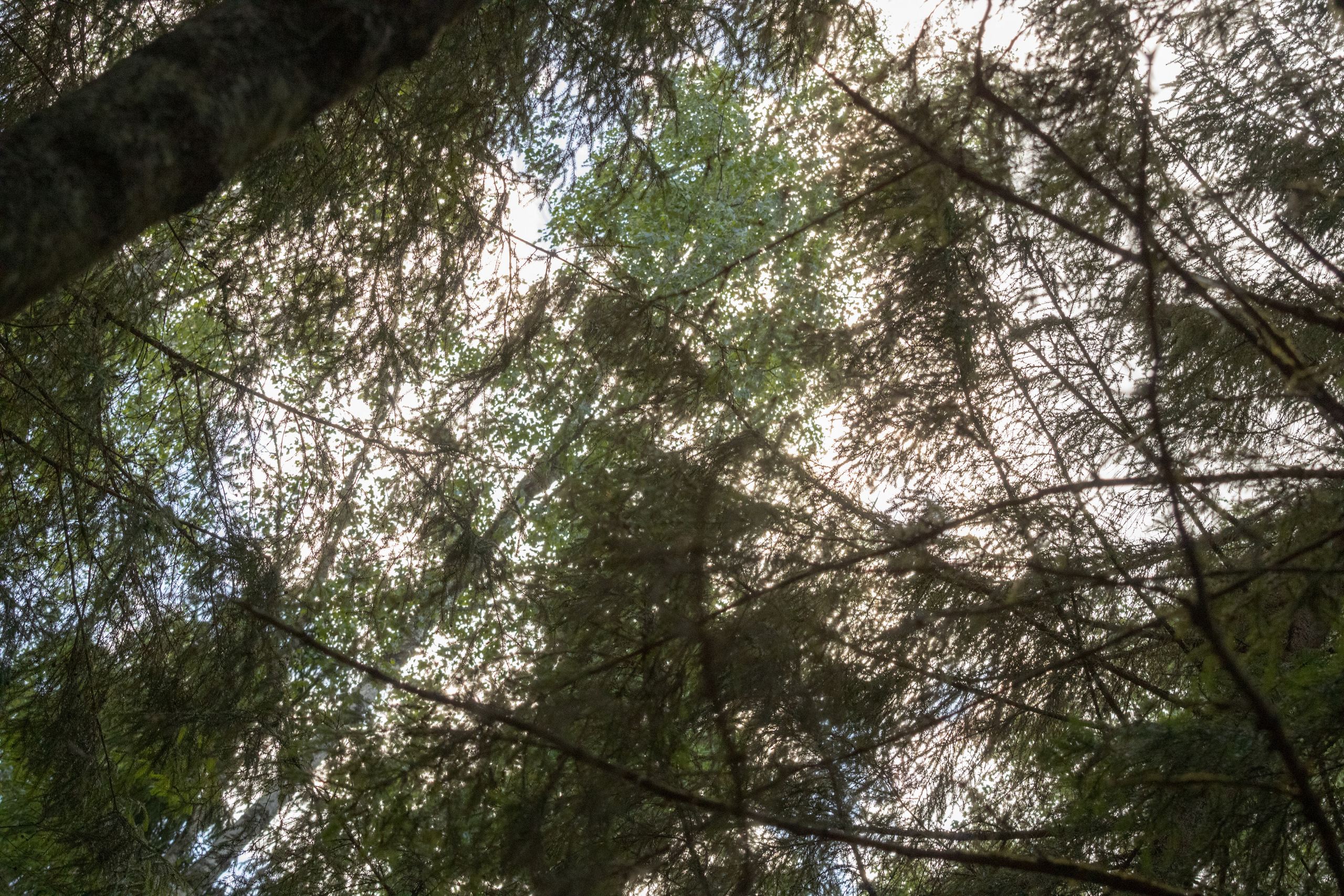Peipsi järv (Taevaskoja). Nebula 25 — Fotod teie hingele