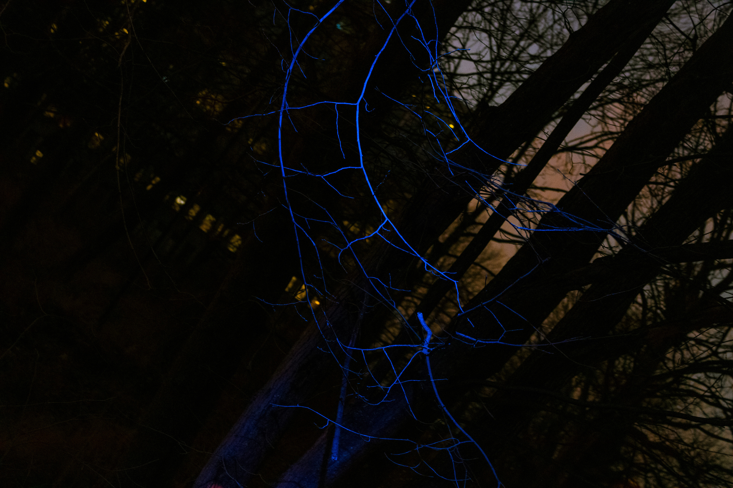 Rootsi reis. Nebula 25 — Fotod teie hingele