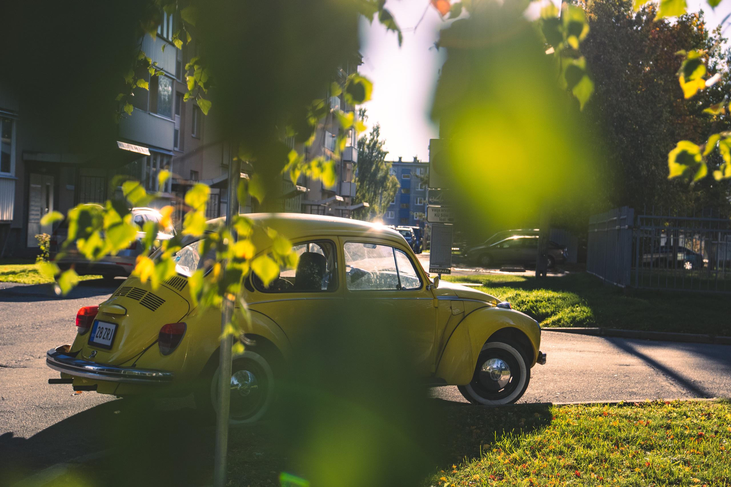 Tsoon „Stalker“ ja Volkswagen Beetle. Nebula 25 — Fotod teie hingele
