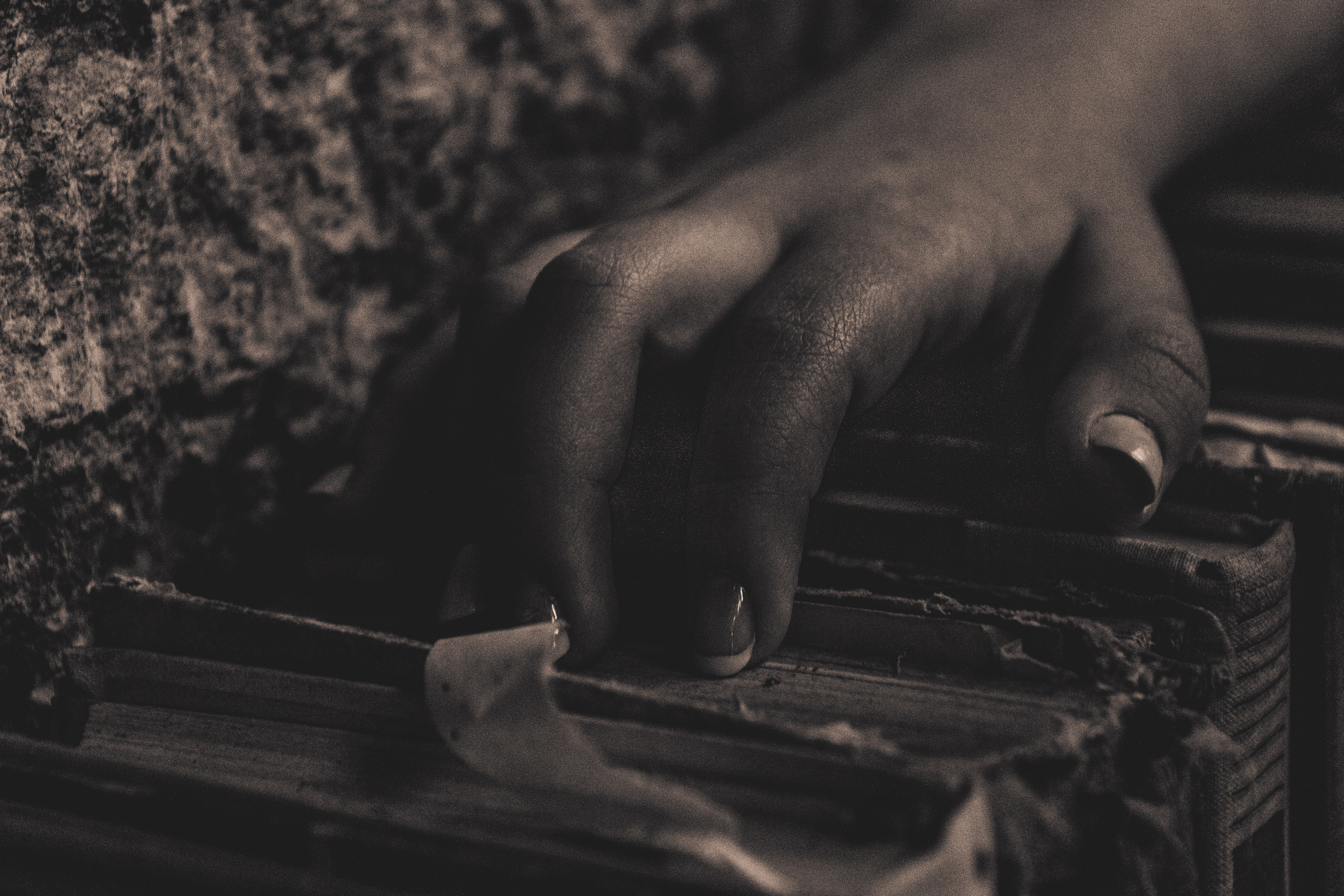 Päevalilled (Nika A.). Nebula 25 — Fotod teie hingele