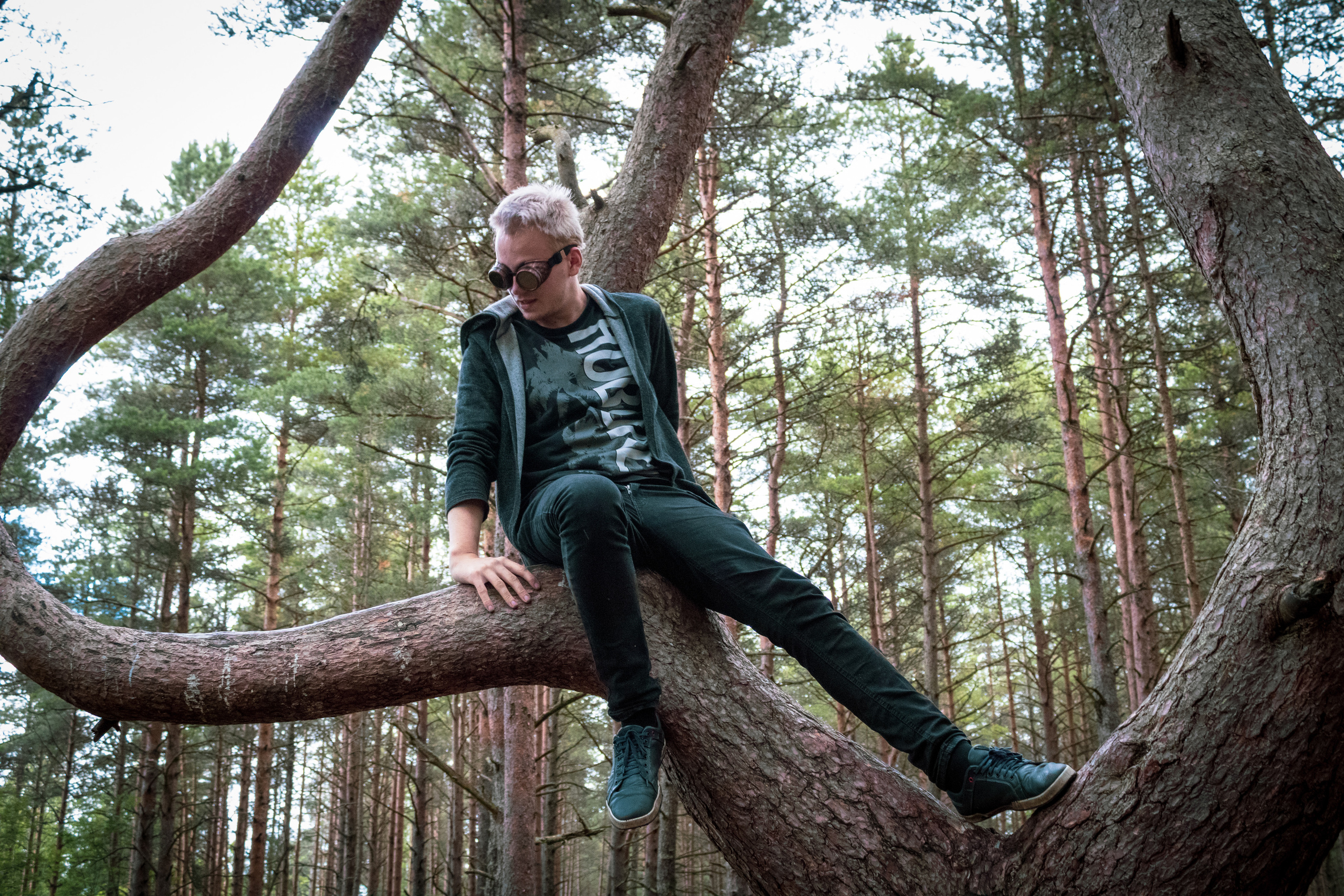 Pääsküla rabarada (Kolja J.). Nebula 25 — Fotod teie hingele