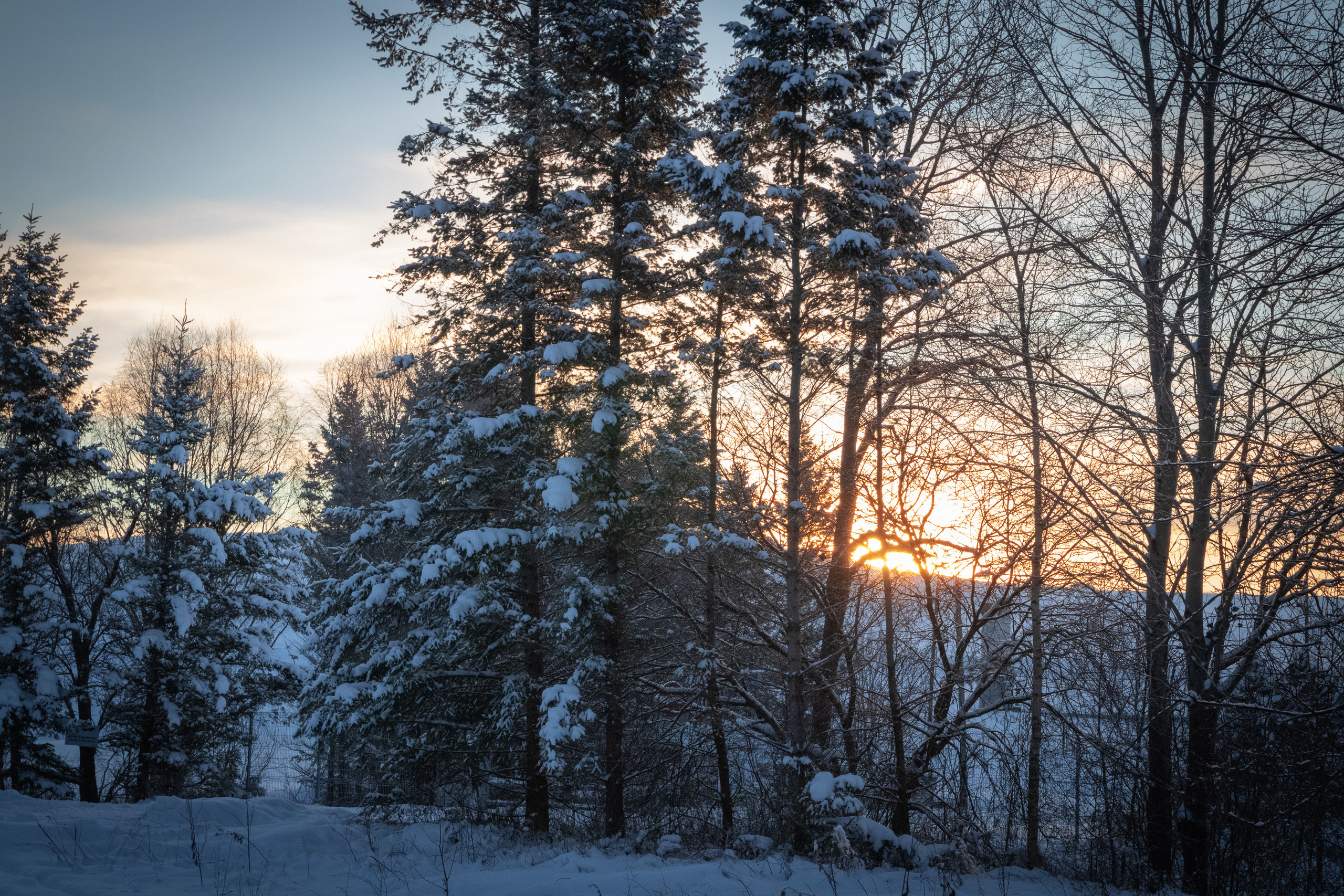 Talvine mets (2021 a.). Nebula 25 — Fotod teie hingele