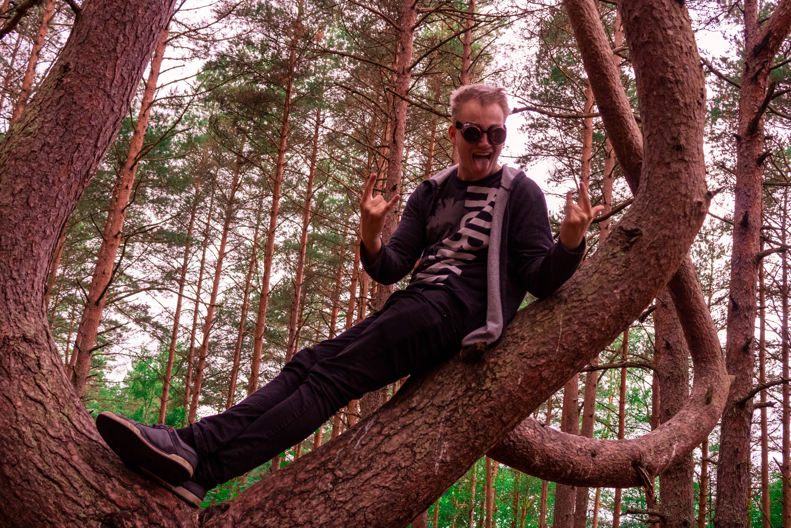 Pääsküla rabarada (Kolja J.). Nebula 25 — Fotod teie hingele