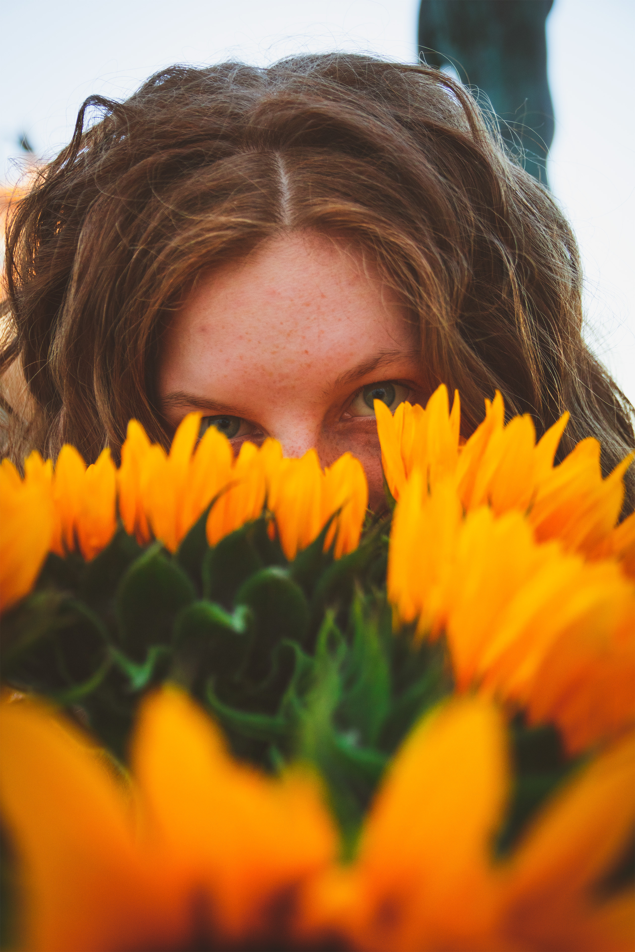 Päevalilled (Nika A.). Nebula 25 — Fotod teie hingele