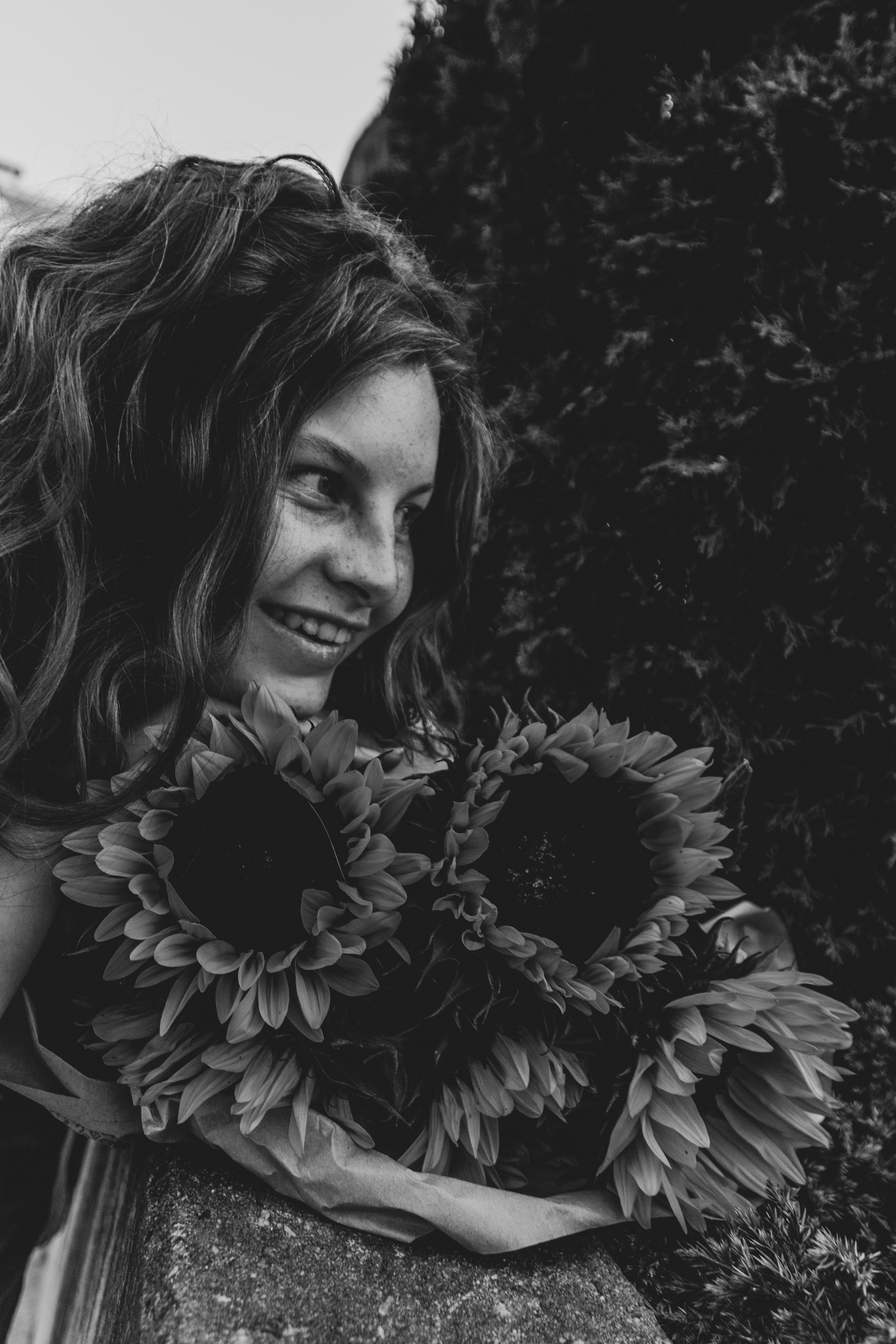 Päevalilled (Nika A.). Nebula 25 — Fotod teie hingele