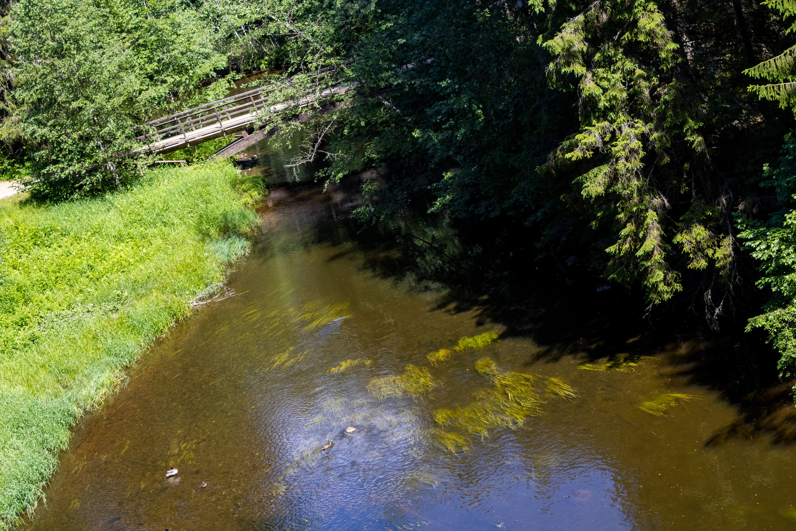 Peipsi järv (Taevaskoja). Nebula 25 — Fotod teie hingele